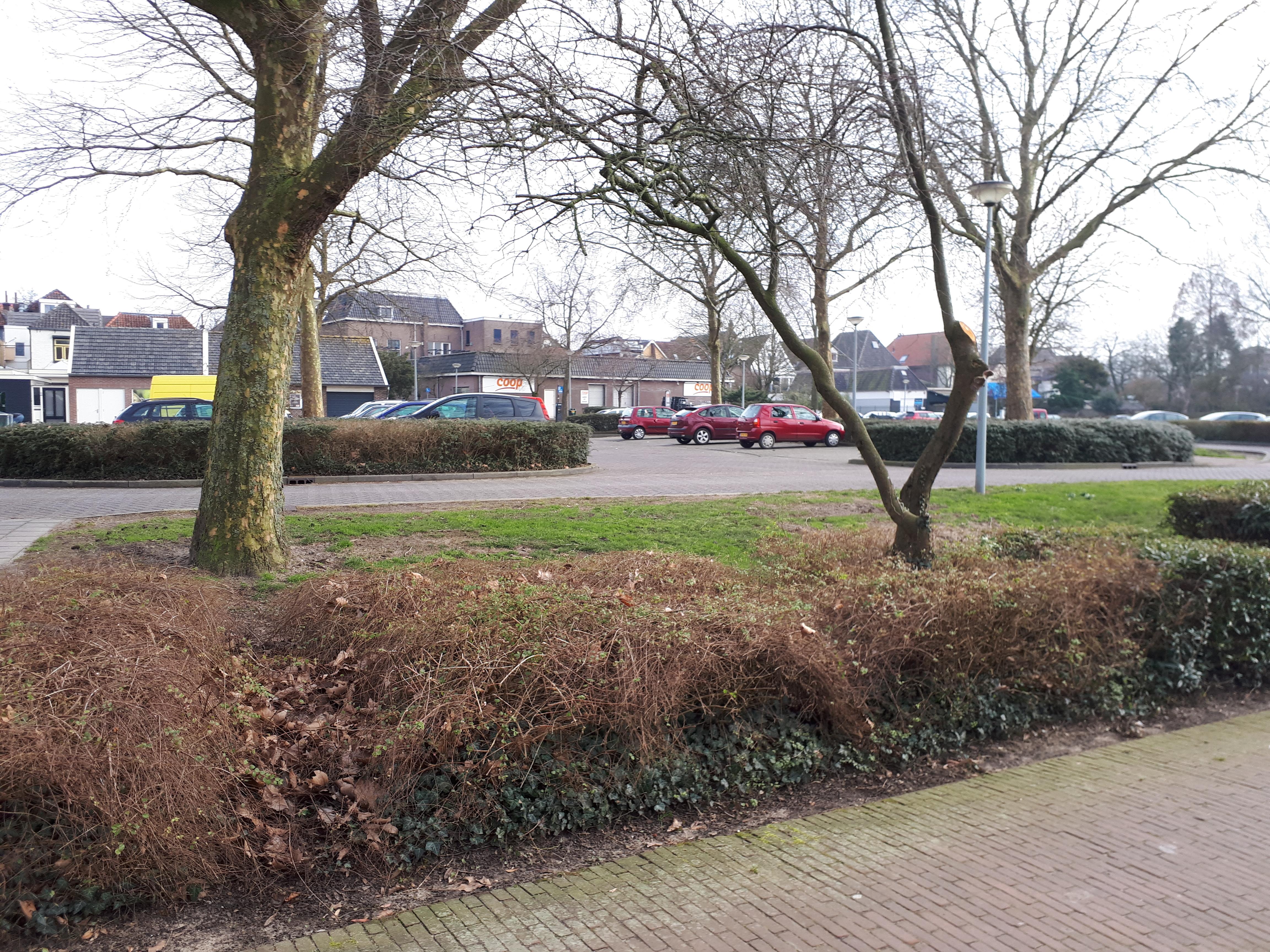 Maartenshof 1