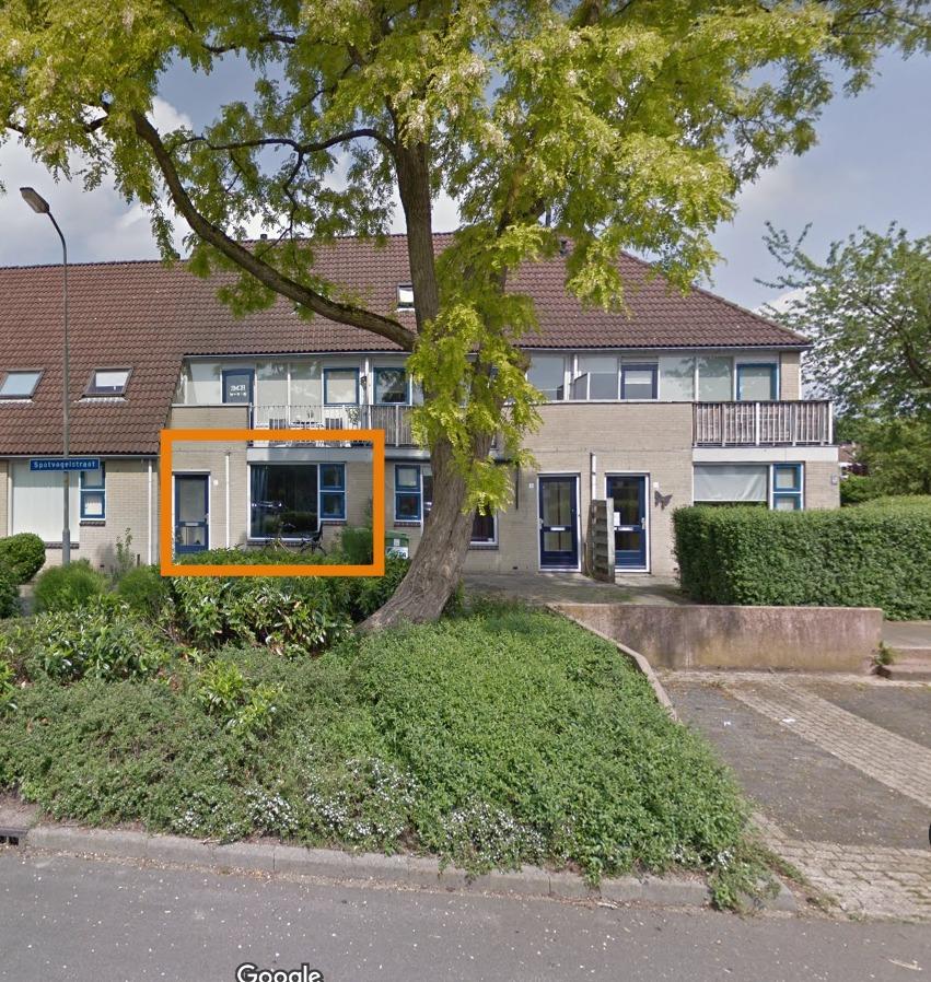 Spotvogelstraat 6
