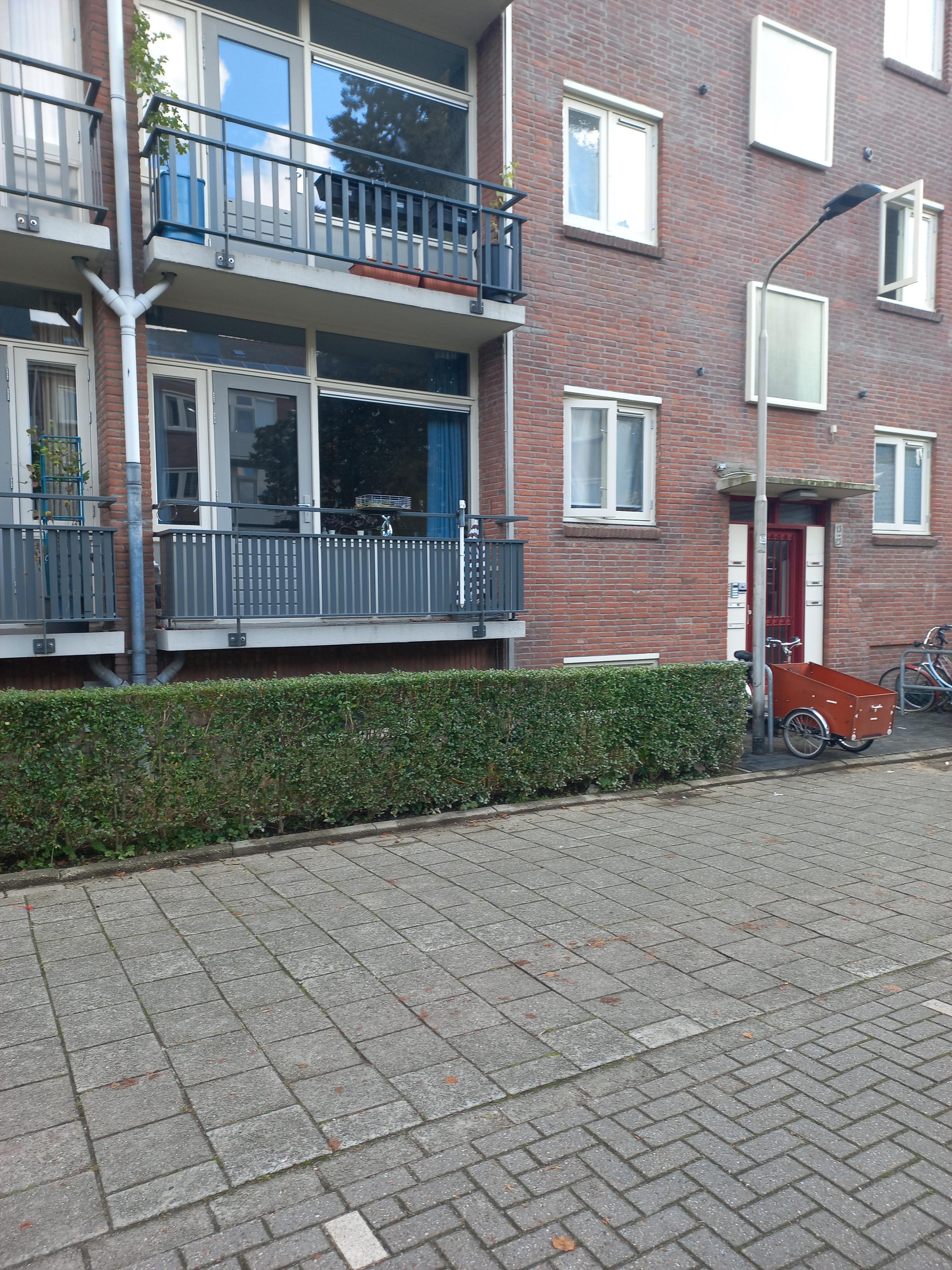 Vuurvlindertjesstraat 13