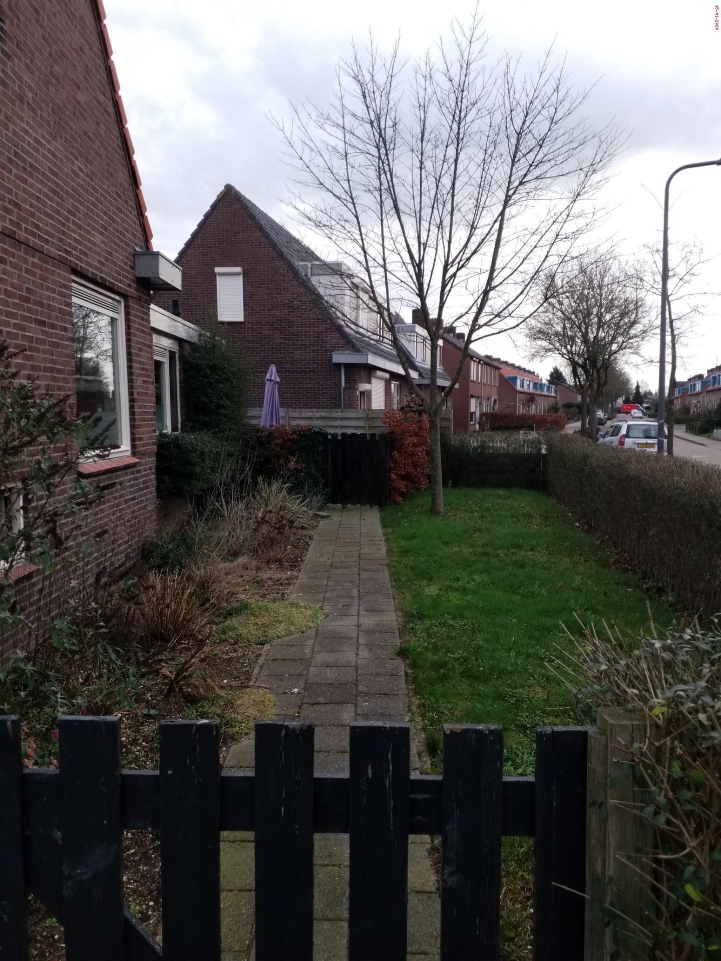 Meester Cort van der Lindenstraat 2