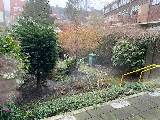 Stadhoudersstraat 55