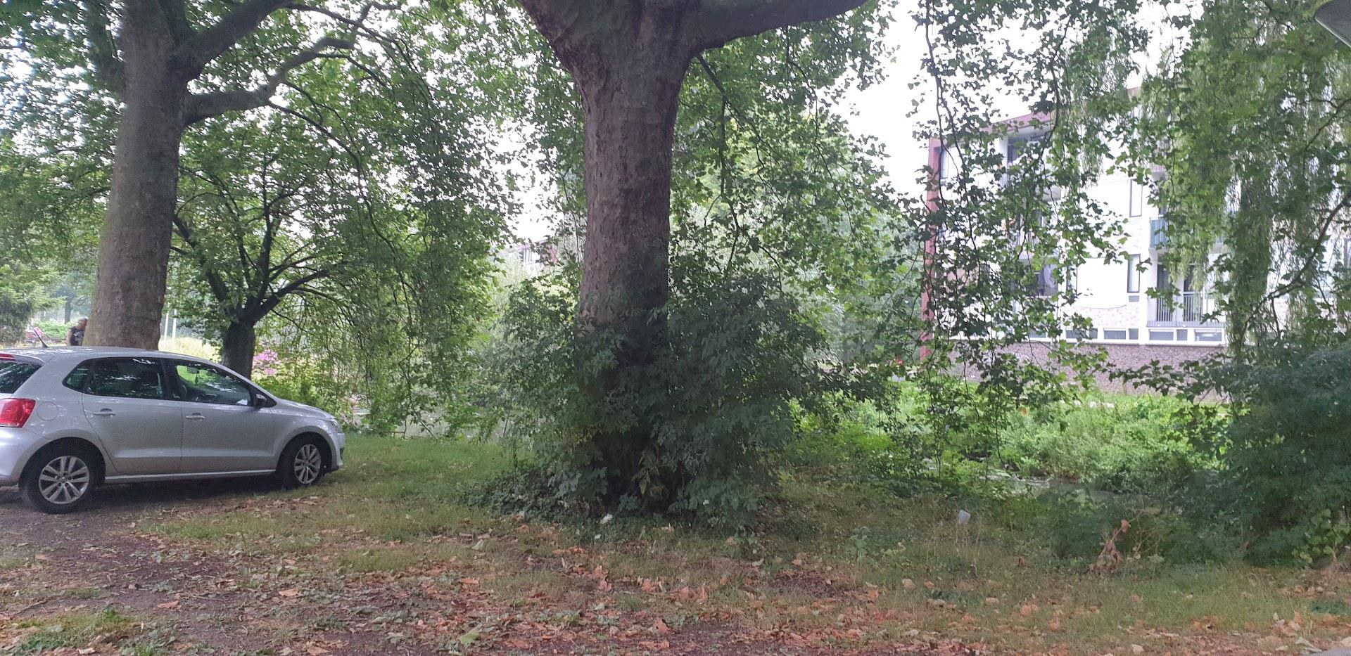 Van der Goesstraat 53