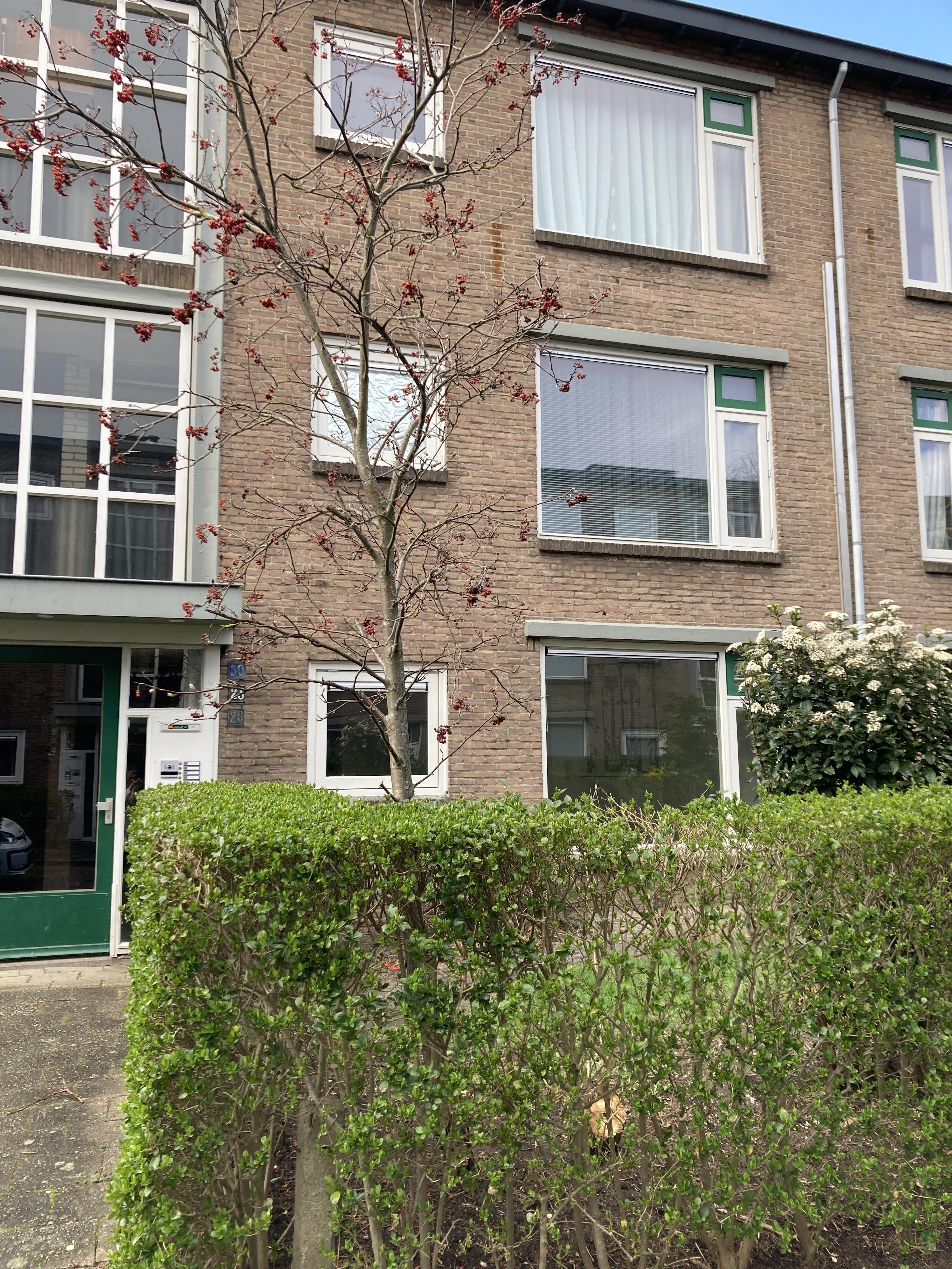 Hofstraat 26, 6533 XC Nijmegen, Nederland