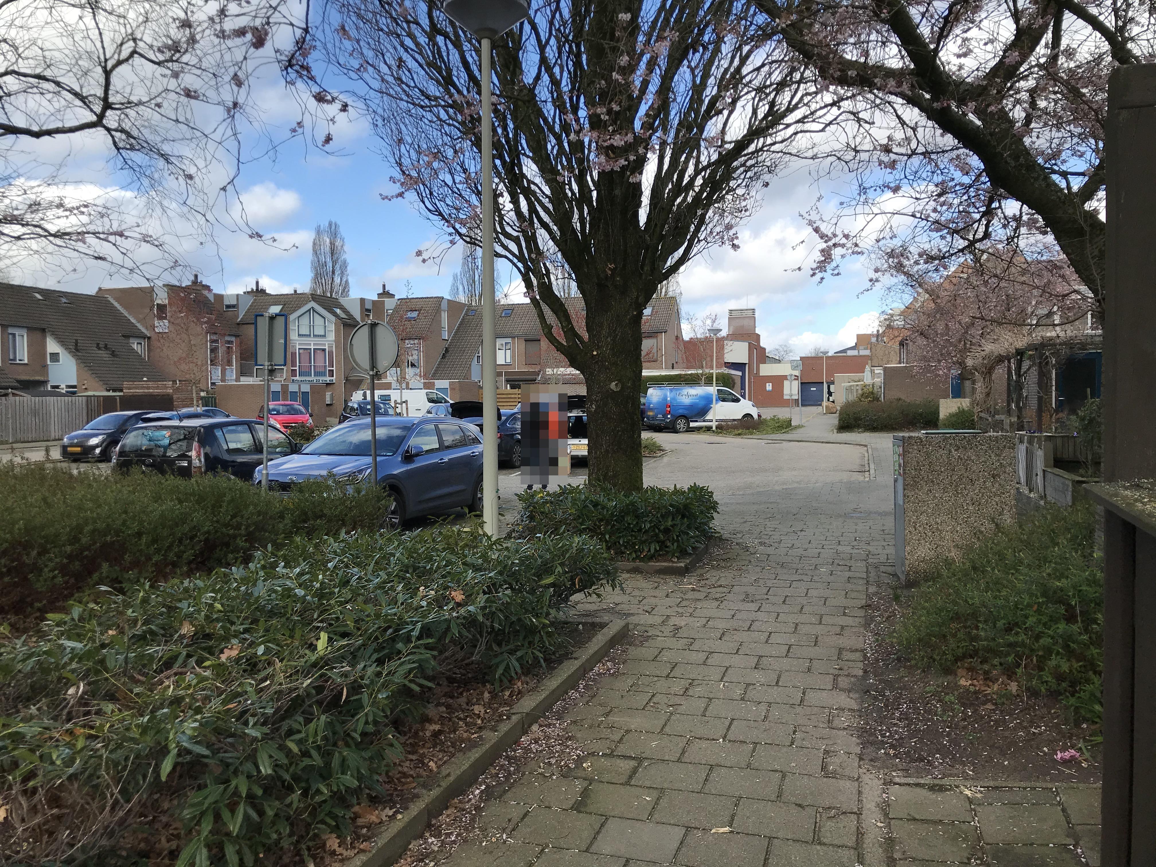Ericastraat 82