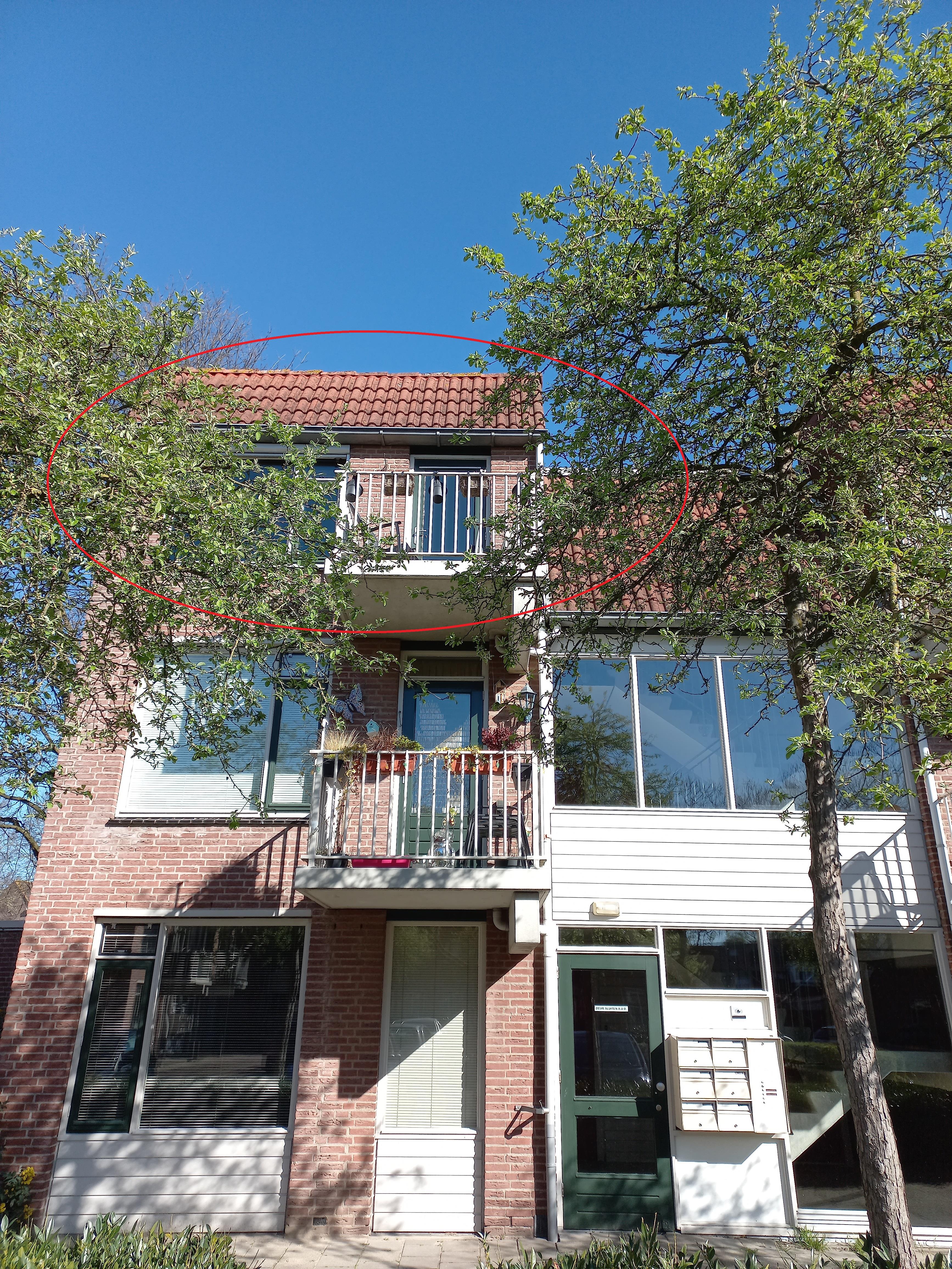 Ridderspoor 11, 6641 HG Beuningen, Nederland