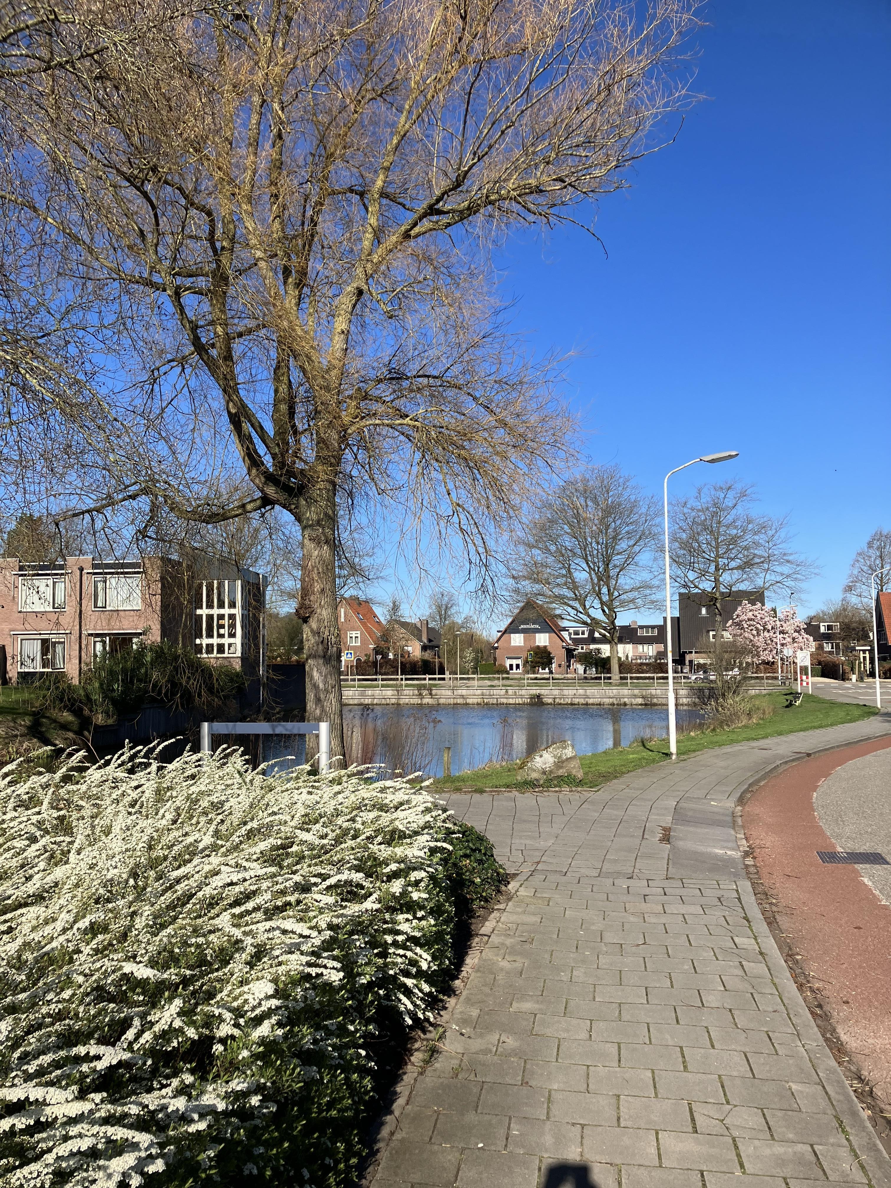 Oude Gracht 61