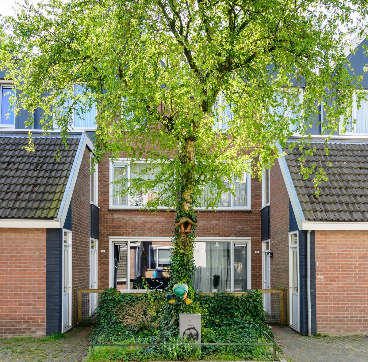 Rappardstraat 48, 6822 CX Arnhem, Nederland