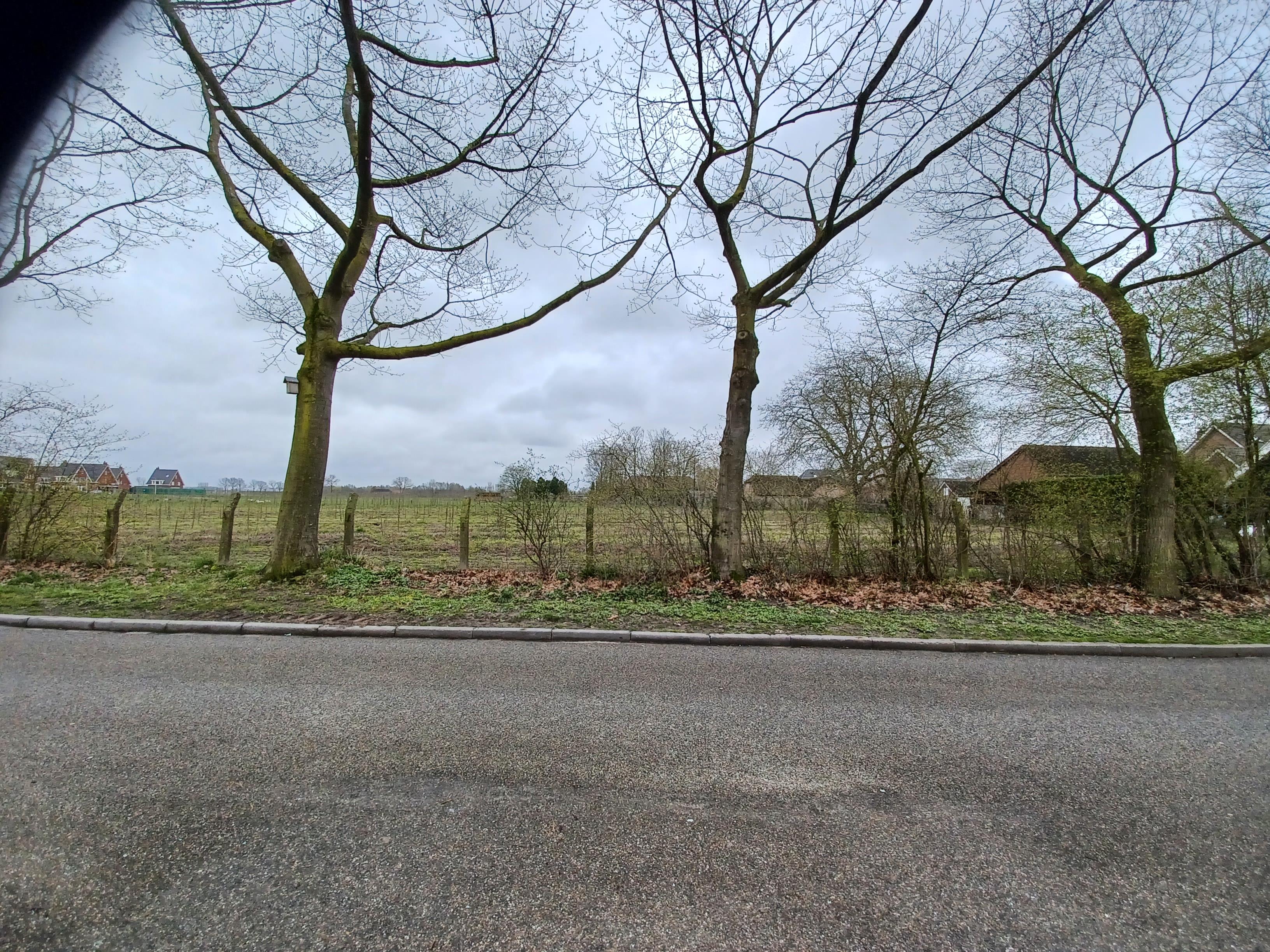 Jan van Weliestraat 12