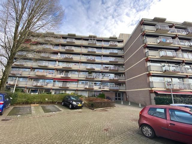 Stedumhof 308, 6835 ML Arnhem, Nederland