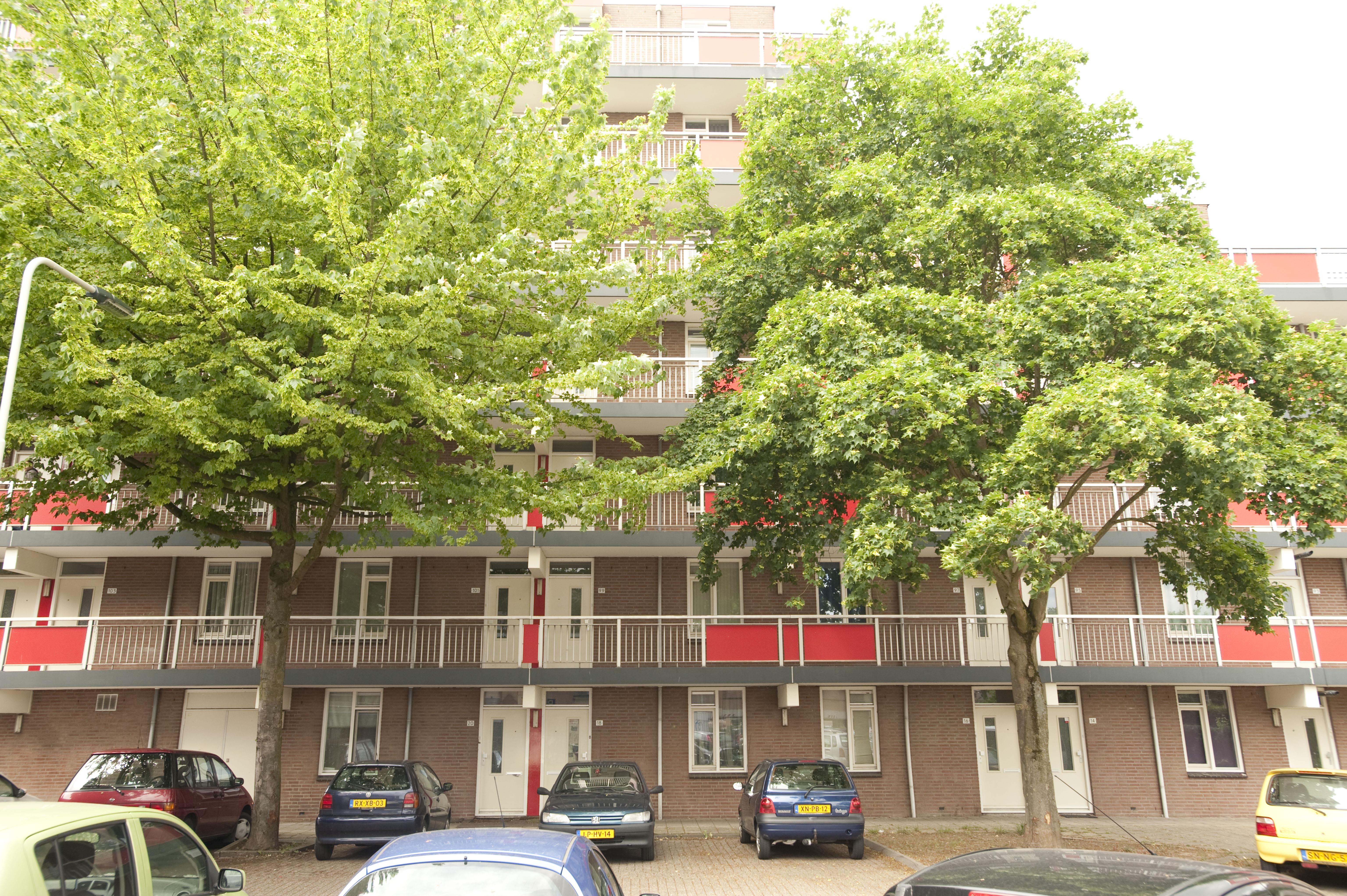 Schepen te Boeckoppad 153, 6831 HT Arnhem, Nederland