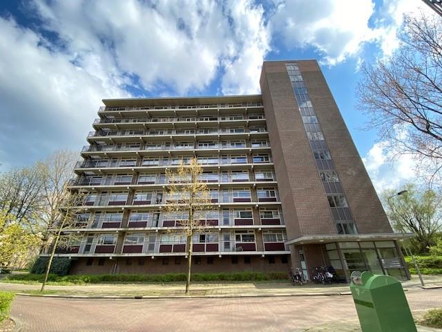 Doeffstraat 214, 6826 HW Arnhem, Nederland