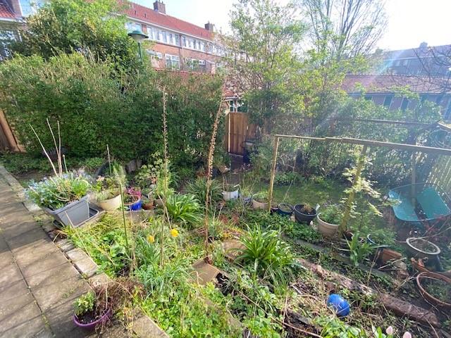 Willem Barendszstraat 27