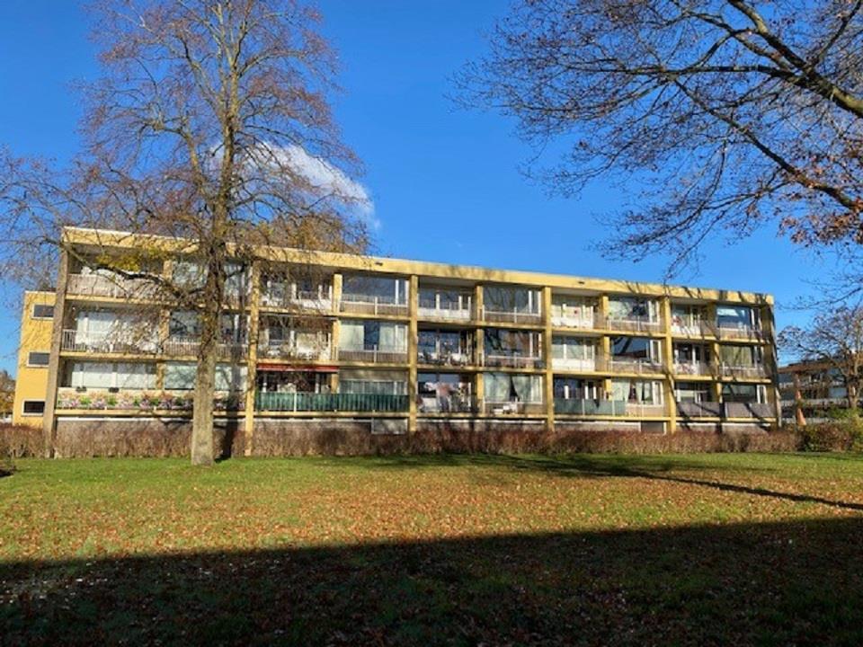 Meijhorst 3242