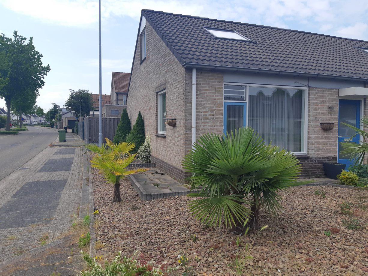 Mandolinepad 1, 6922 KC Duiven, Nederland