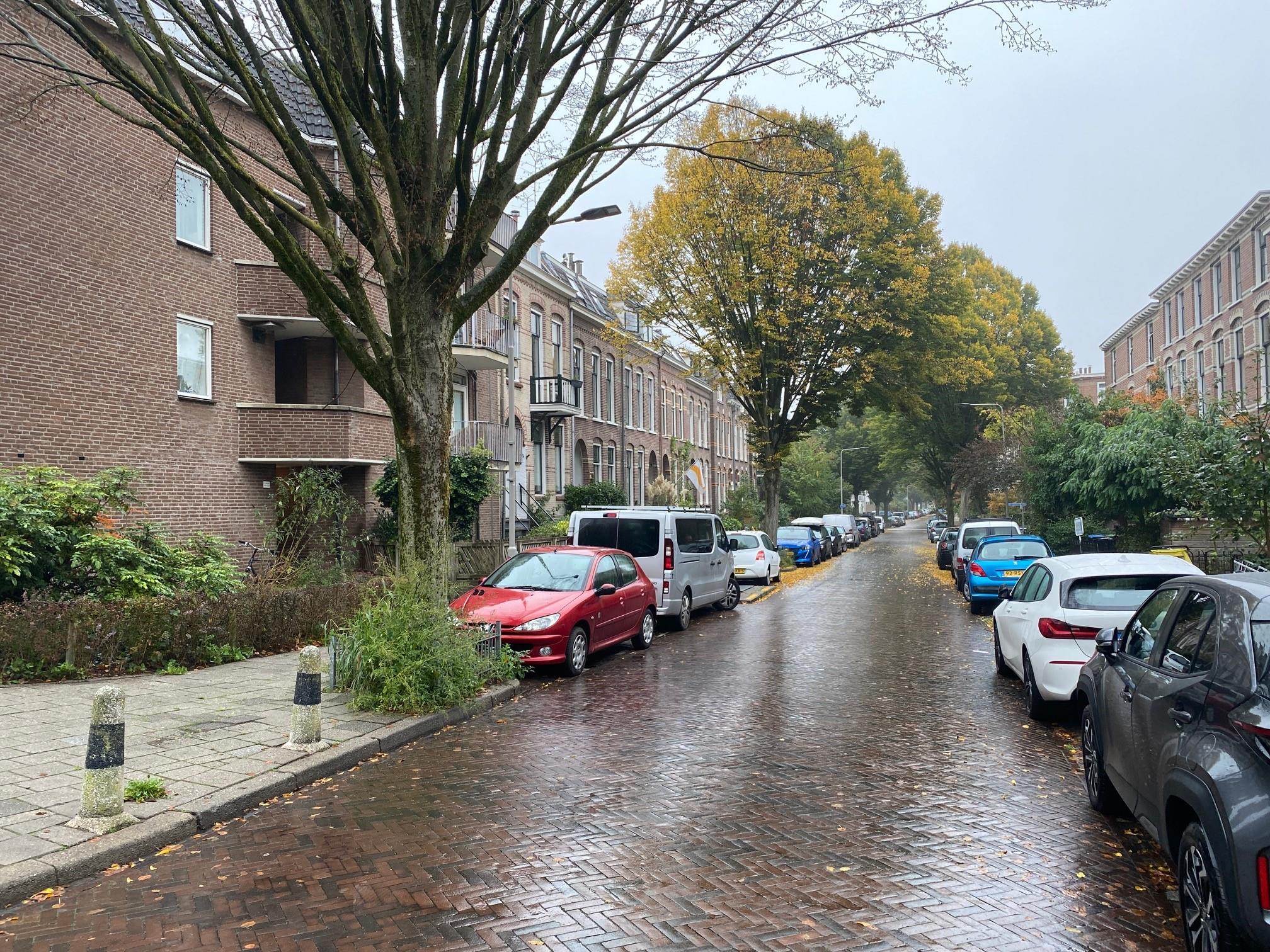 Sint Antonielaan 202