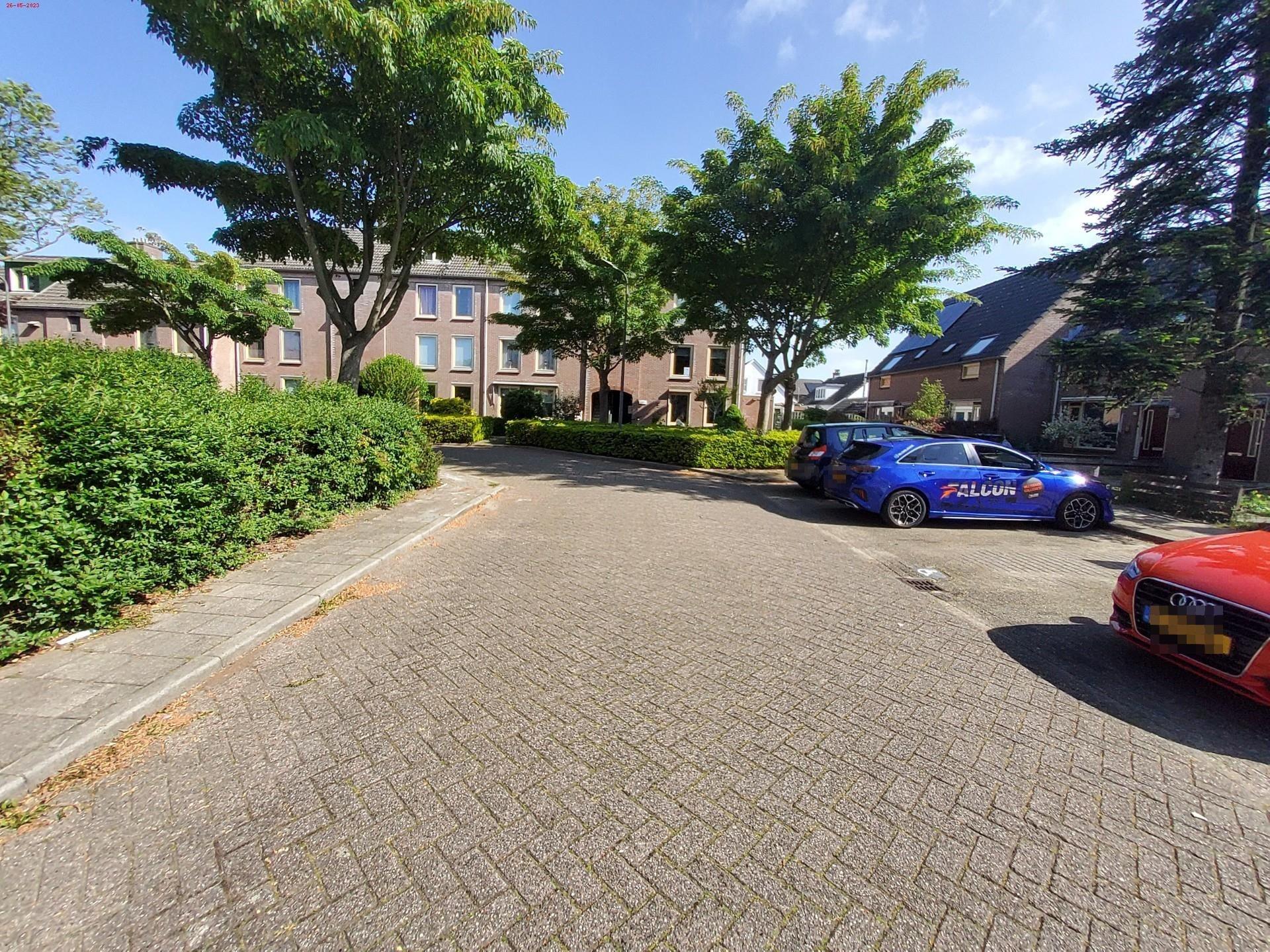 Doctor Willem Dreeshof 18