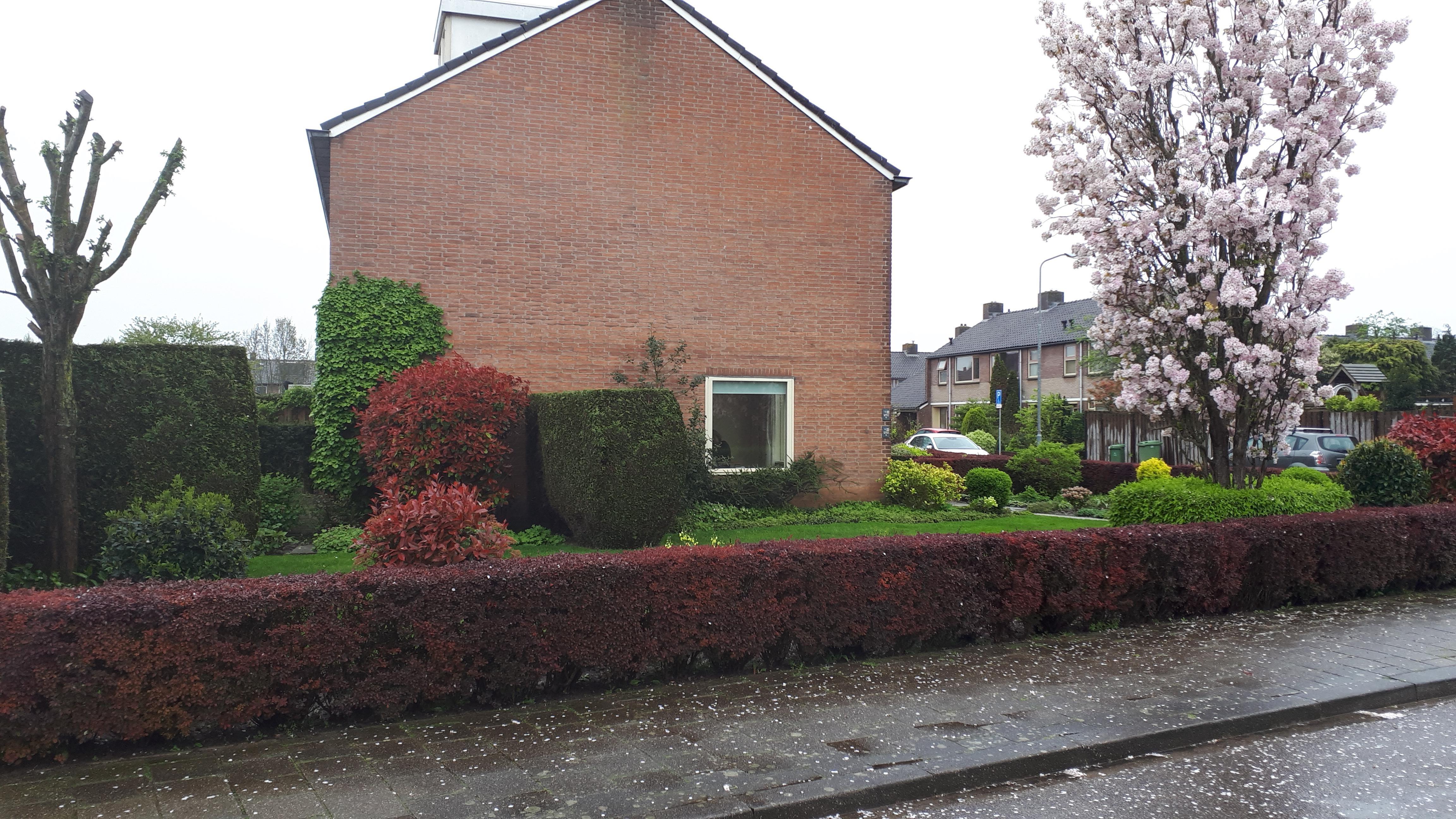 Prins Alexanderstraat 26