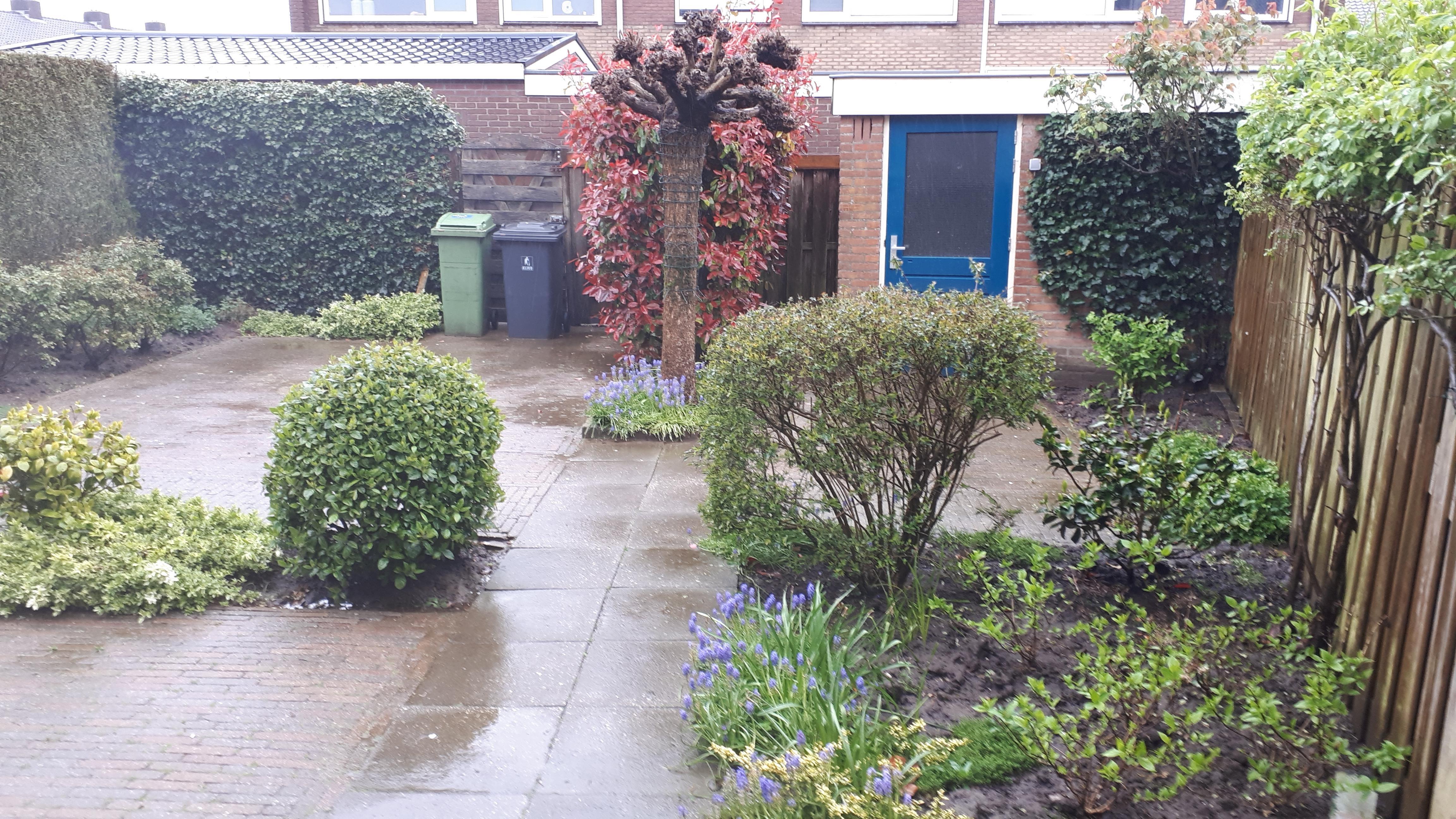 Prins Alexanderstraat 26