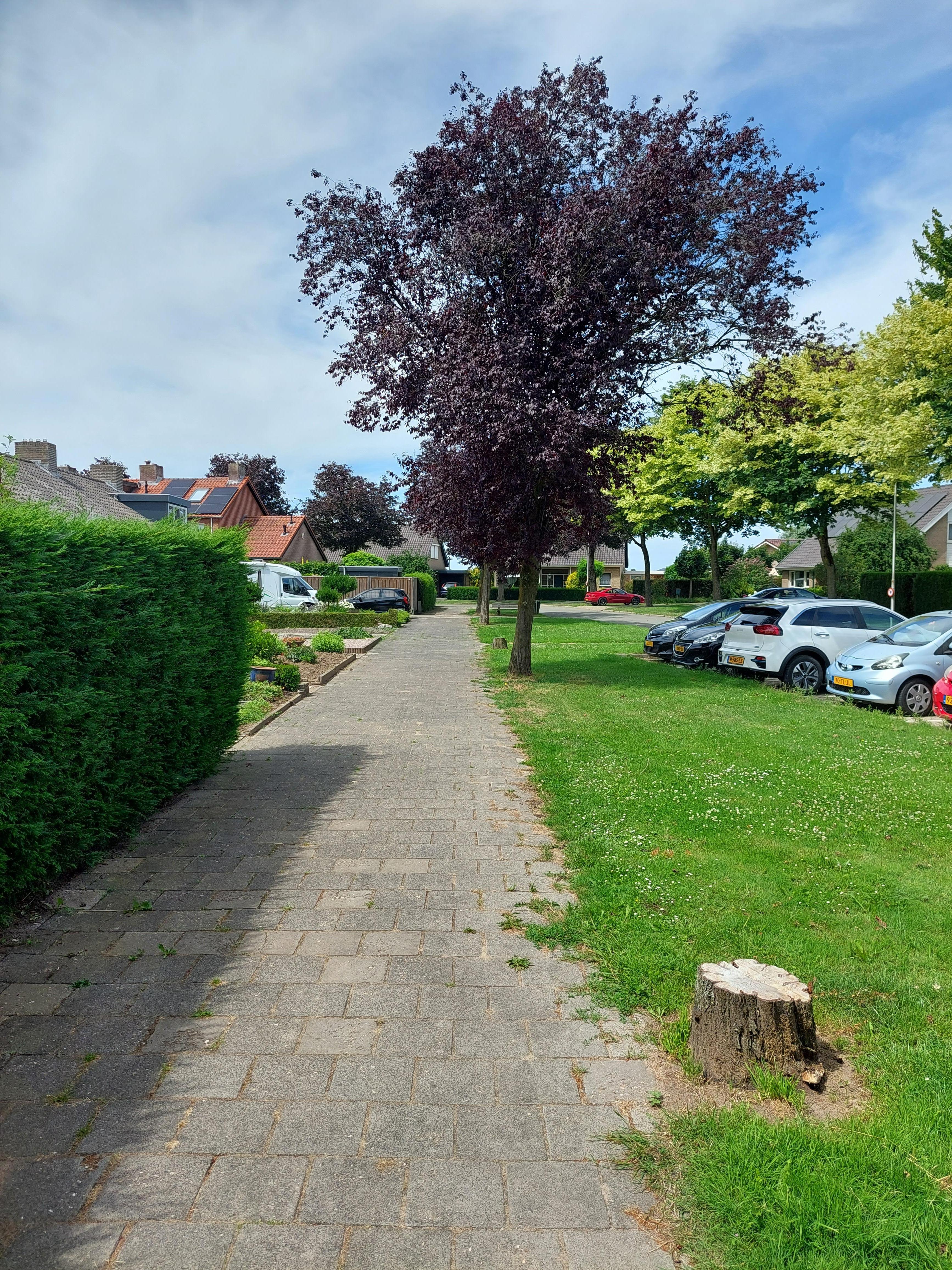 Slangenburgstraat 62