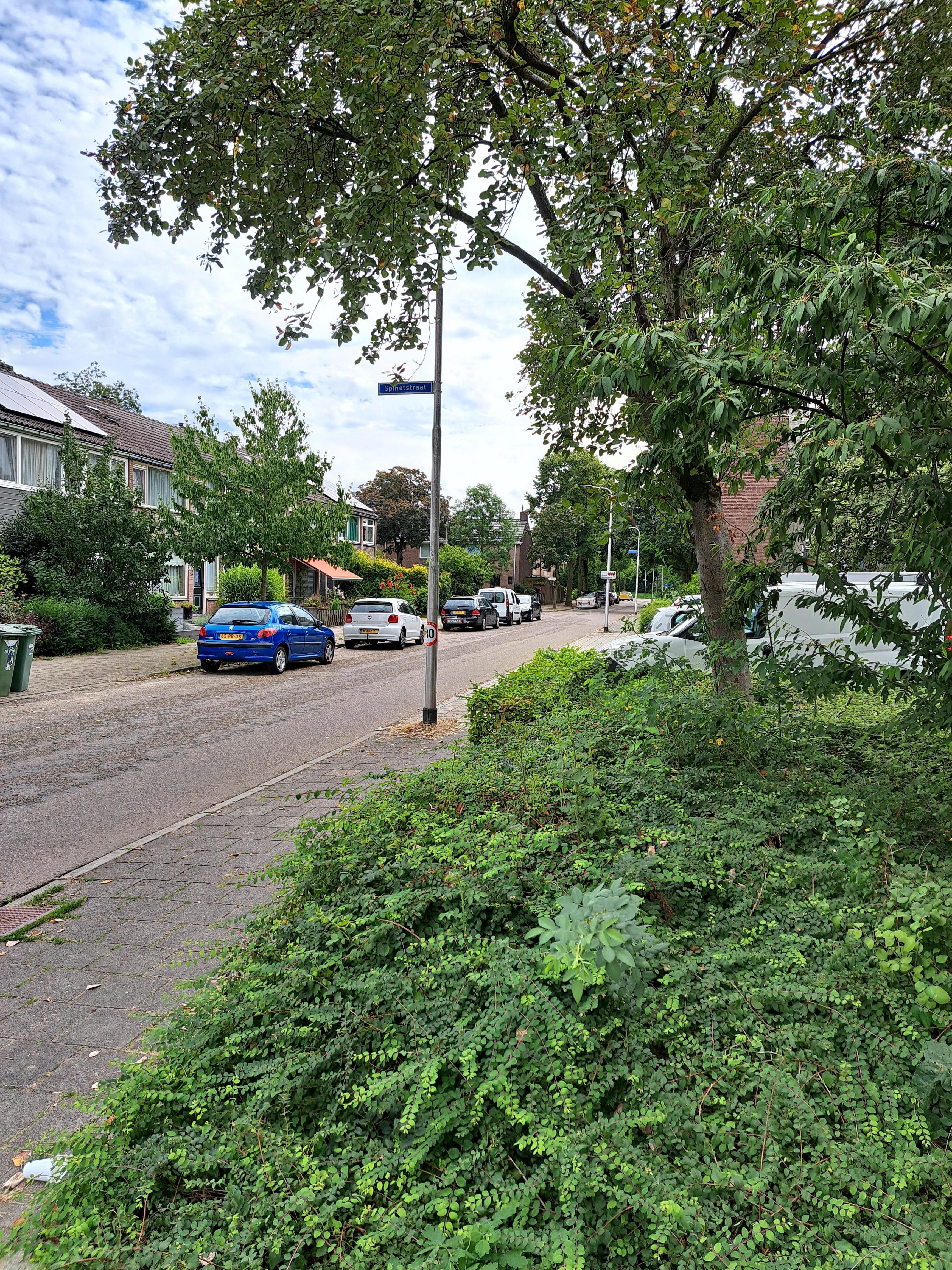 Balladestraat 245