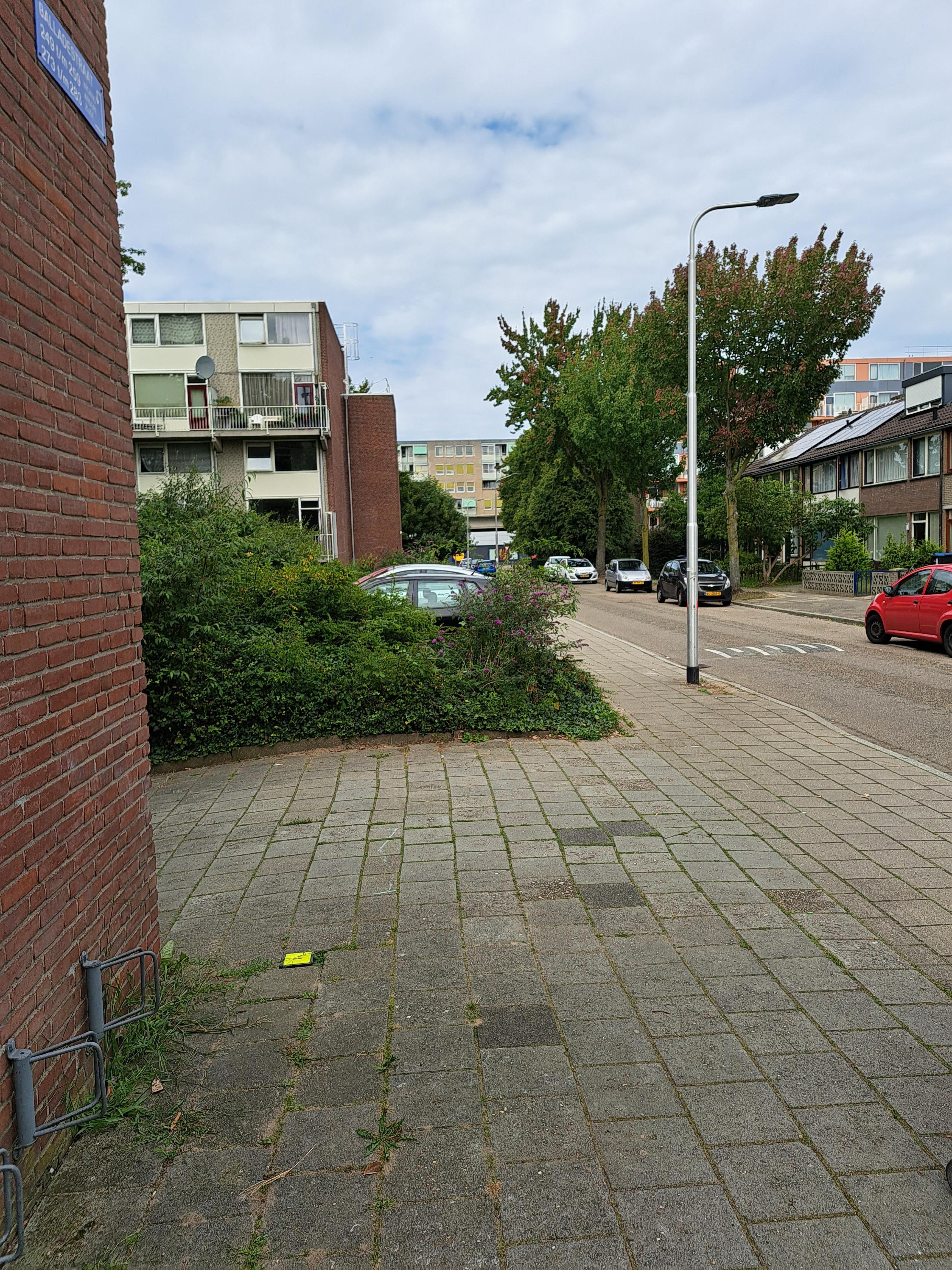 Balladestraat 245