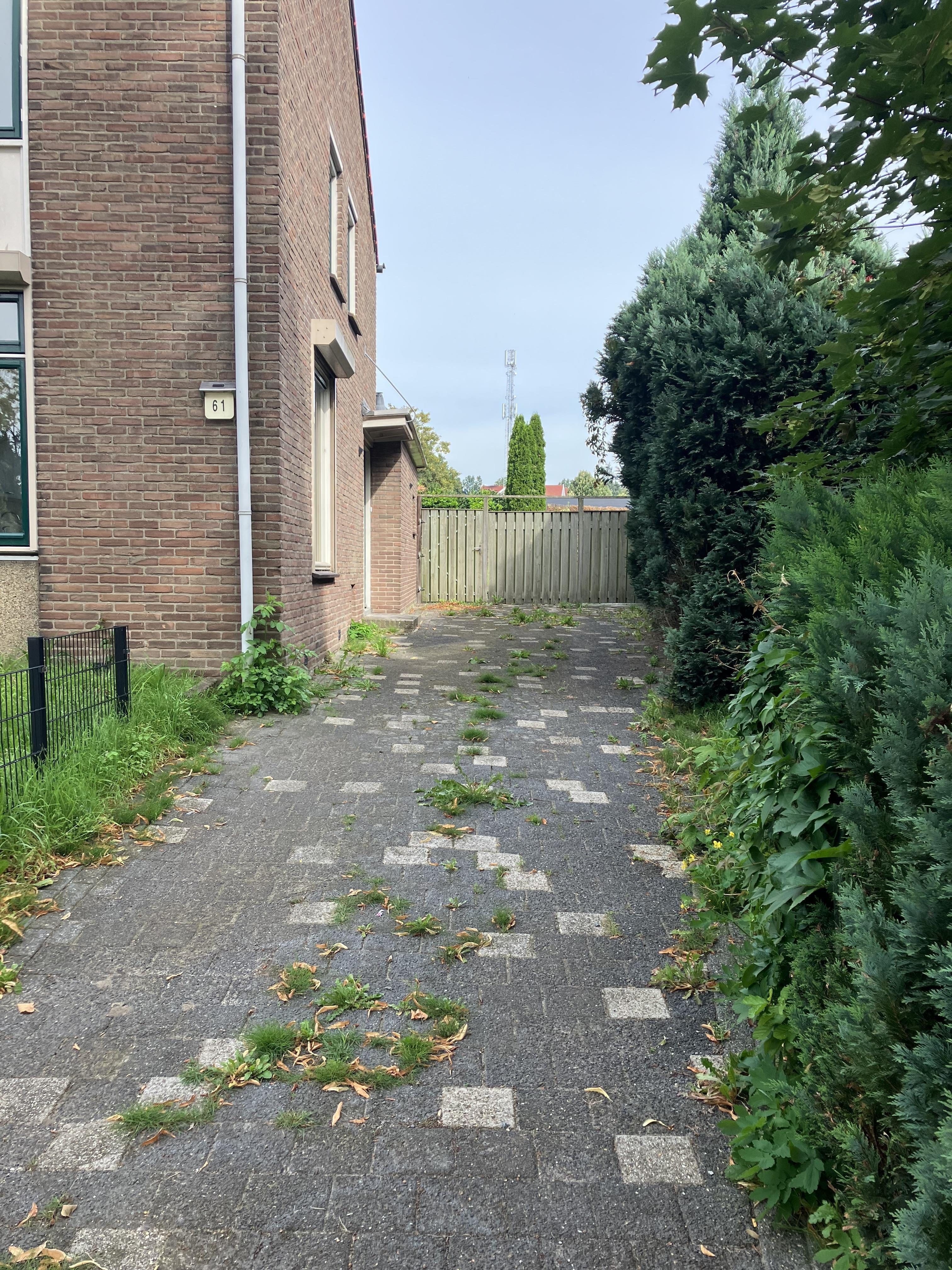 Hoflaan 61