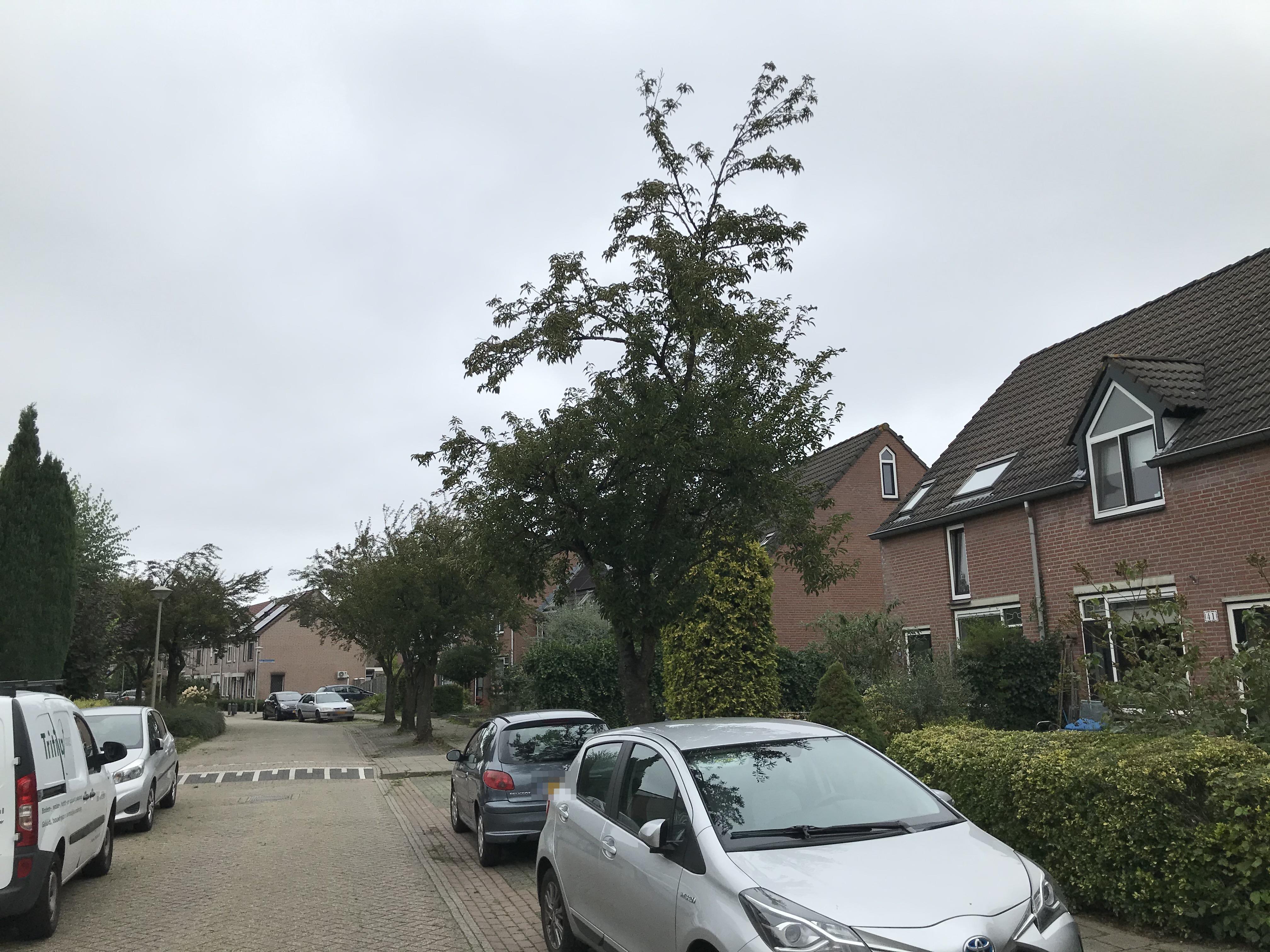 Generaal Gavinstraat 43