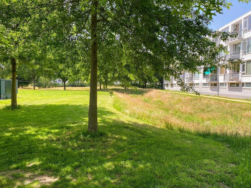 Middachtenstraat 171