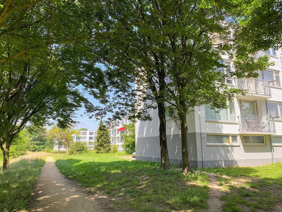 Middachtenstraat 171