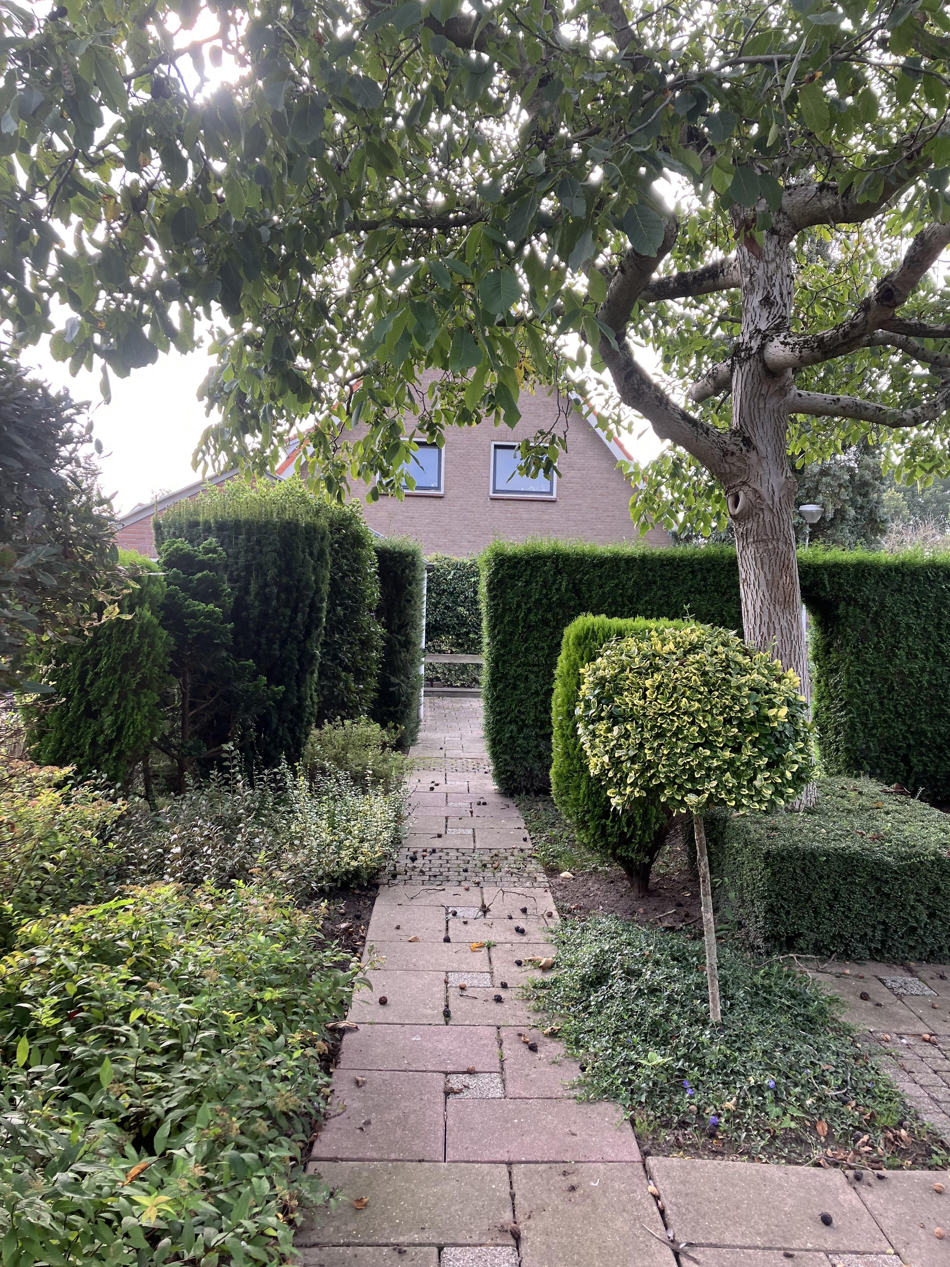 Wethouder Burgers-Stee 18