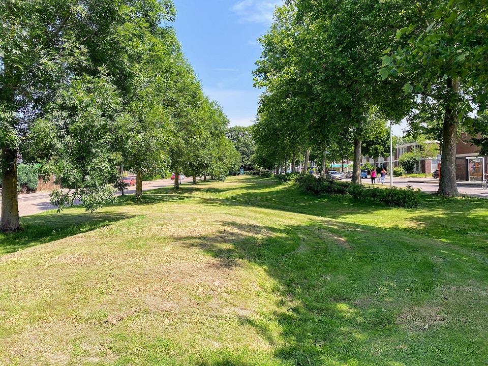 Friesenburgstraat 14