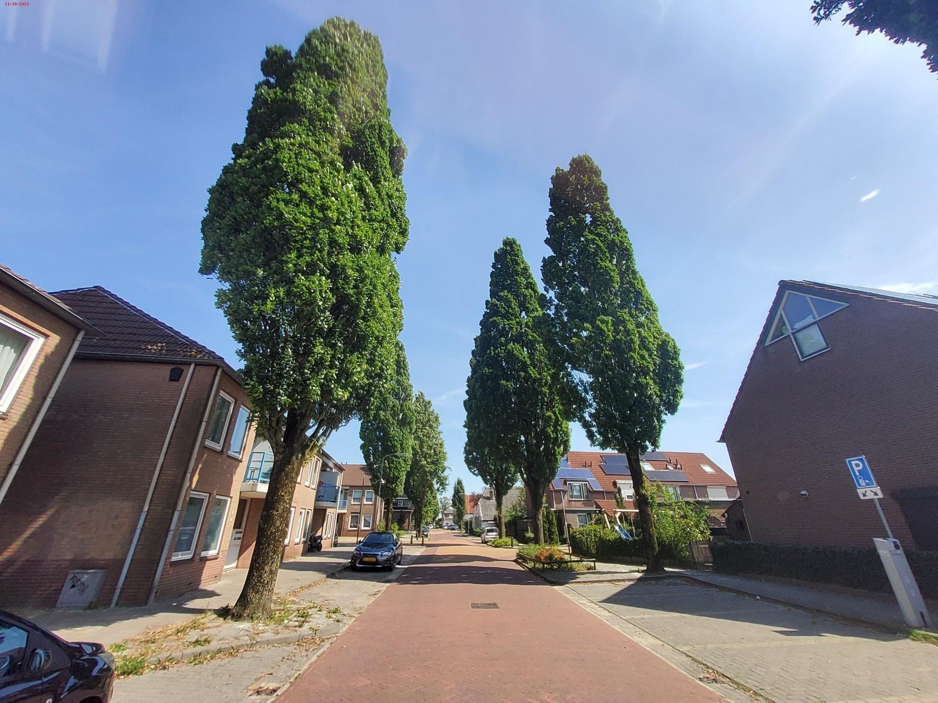 Willemstraat 76