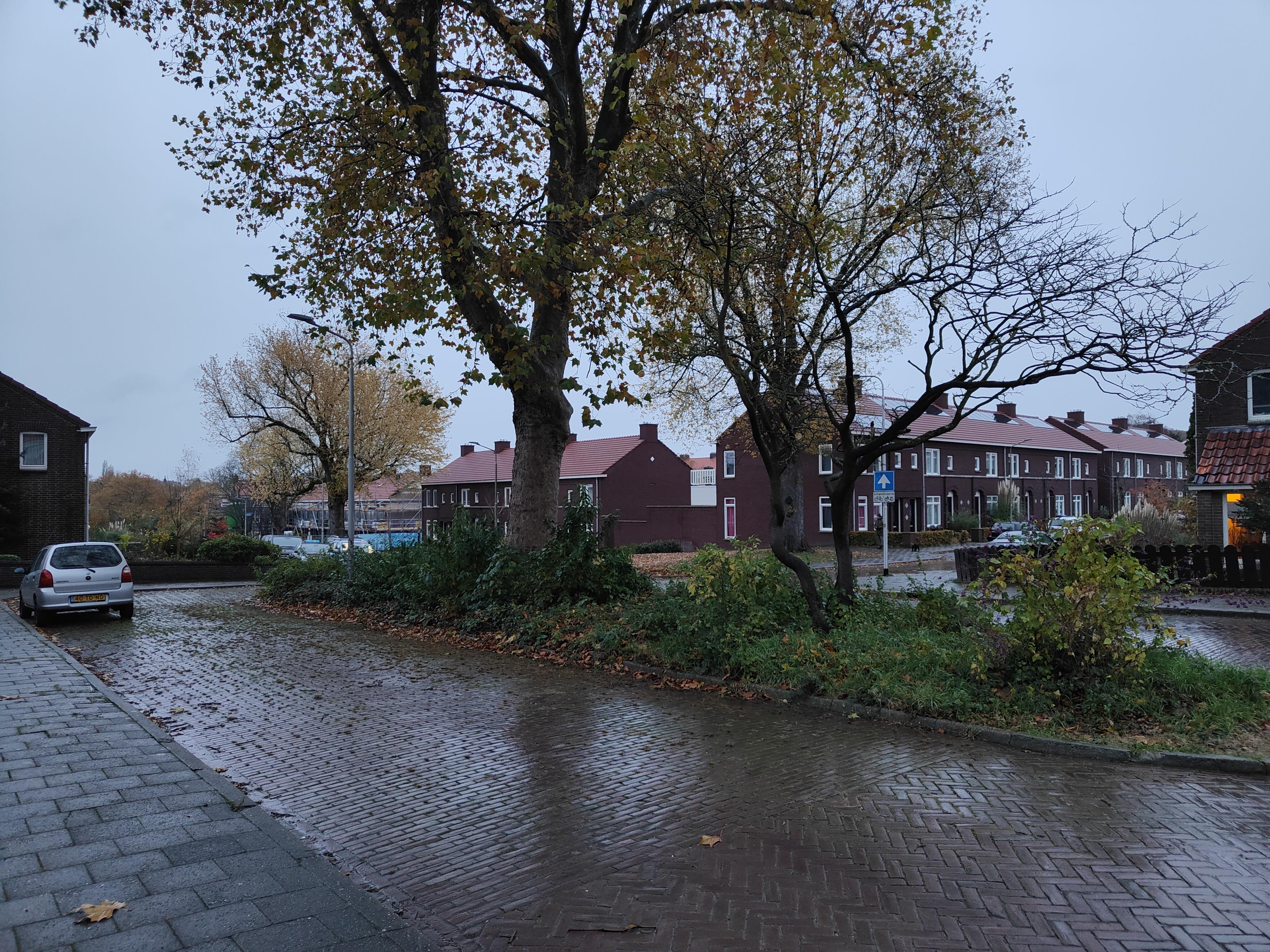 Ahornstraat 72
