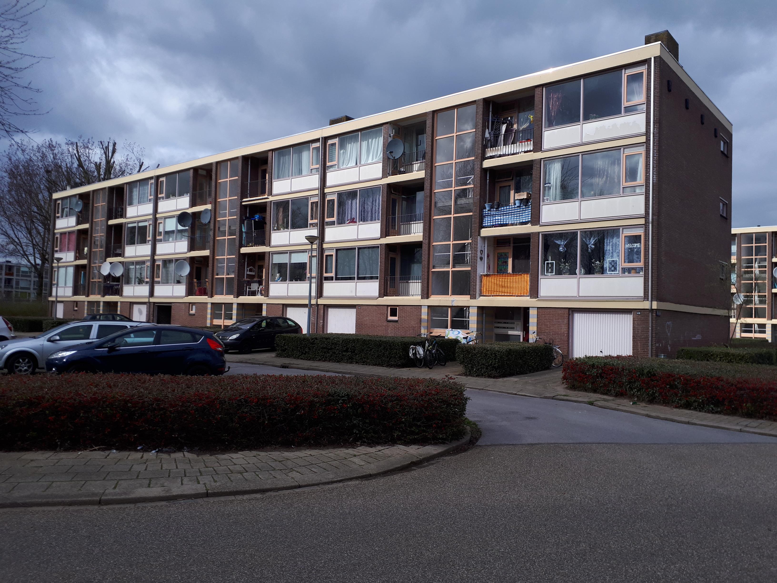 Goudenregenstraat 148