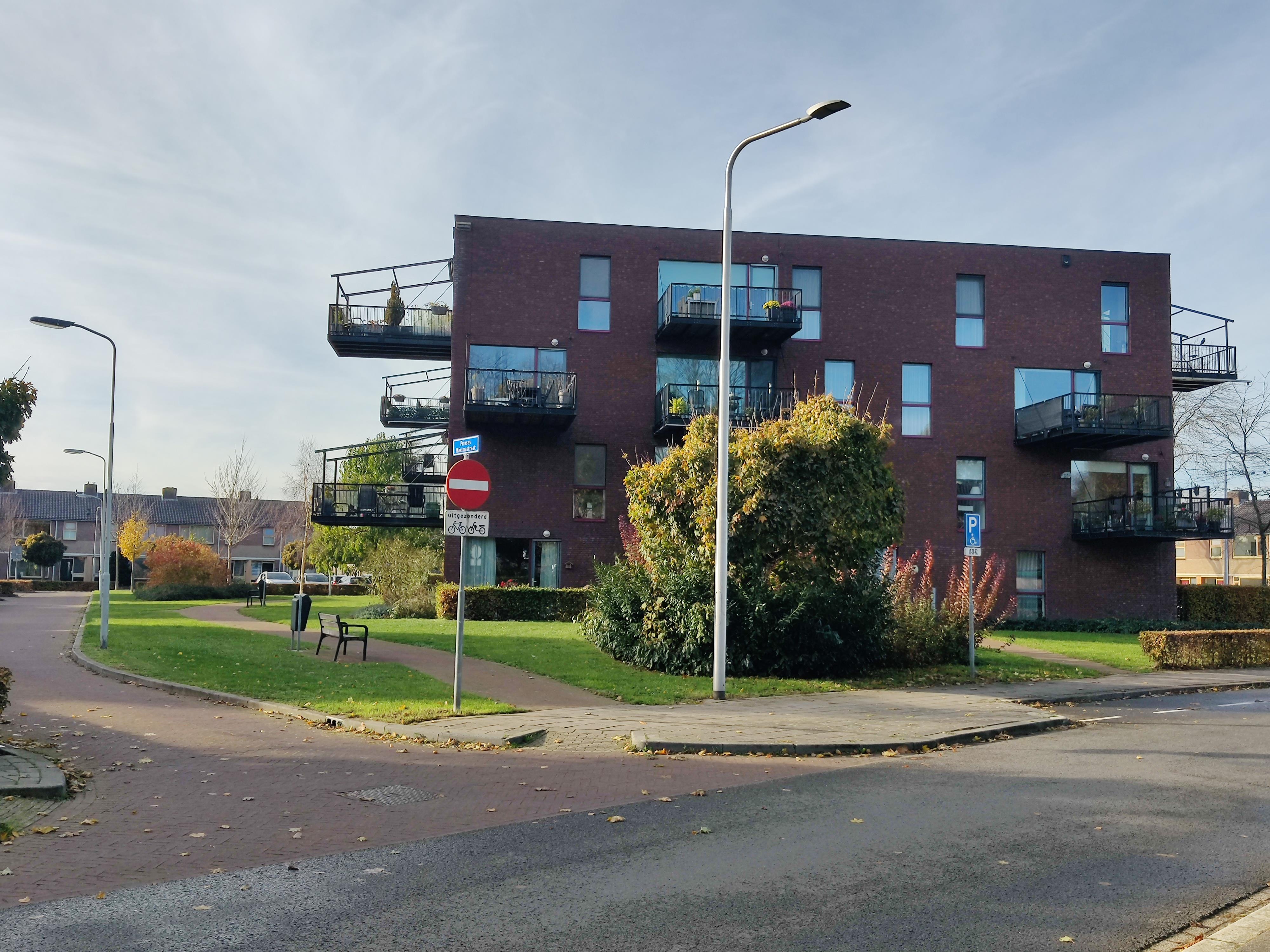 Anna Paulownastraat 8, 6661 ZP Elst, Nederland