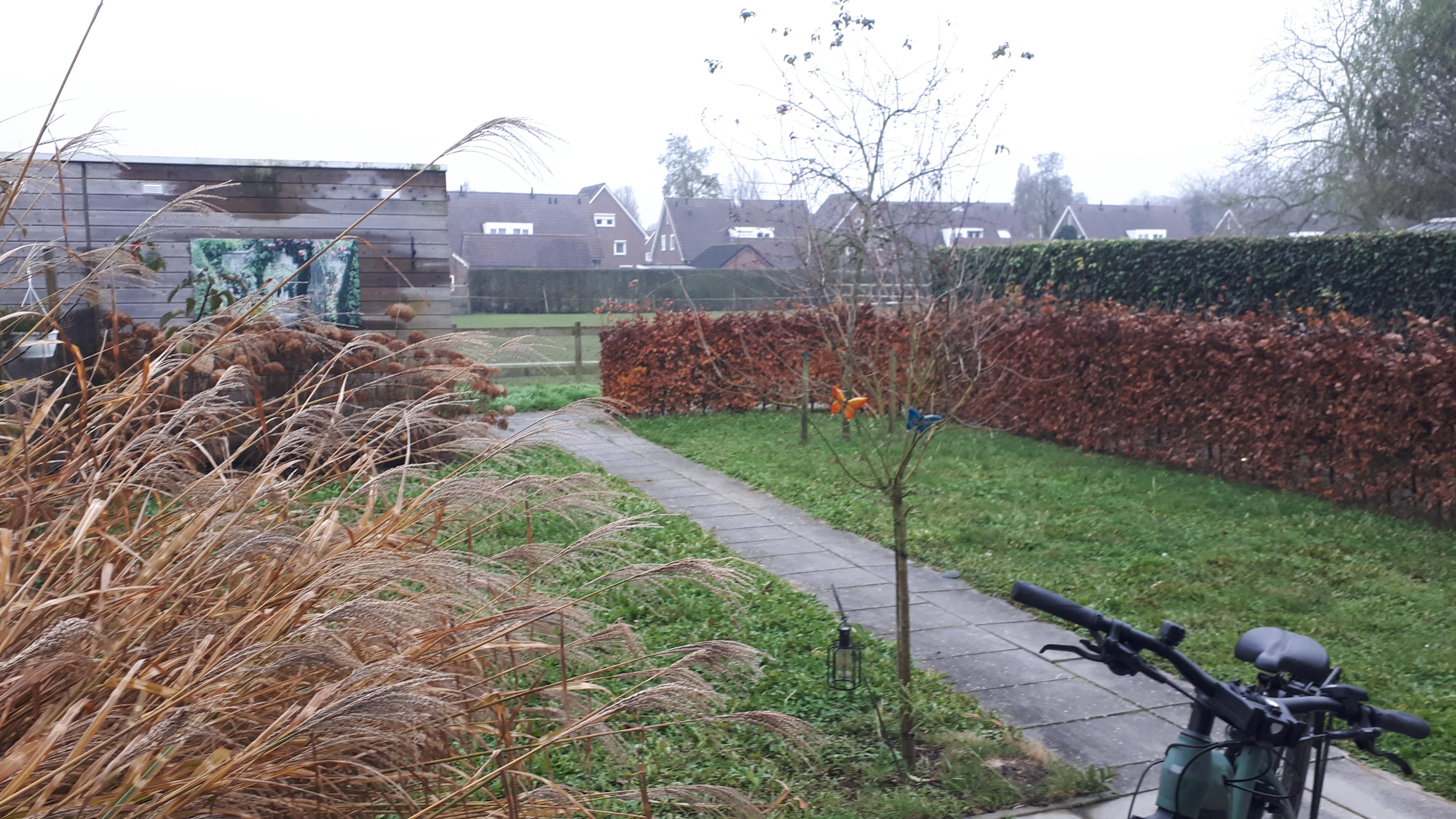 1e Molenbergstraat 5