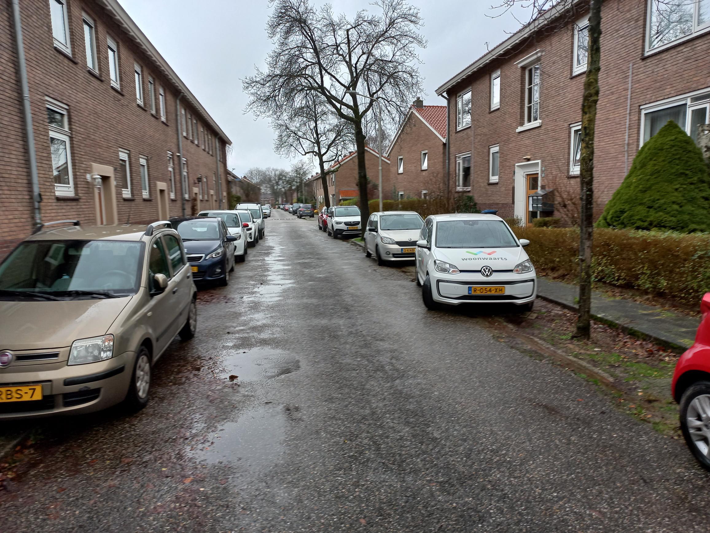 Lijsterbesstraat 105