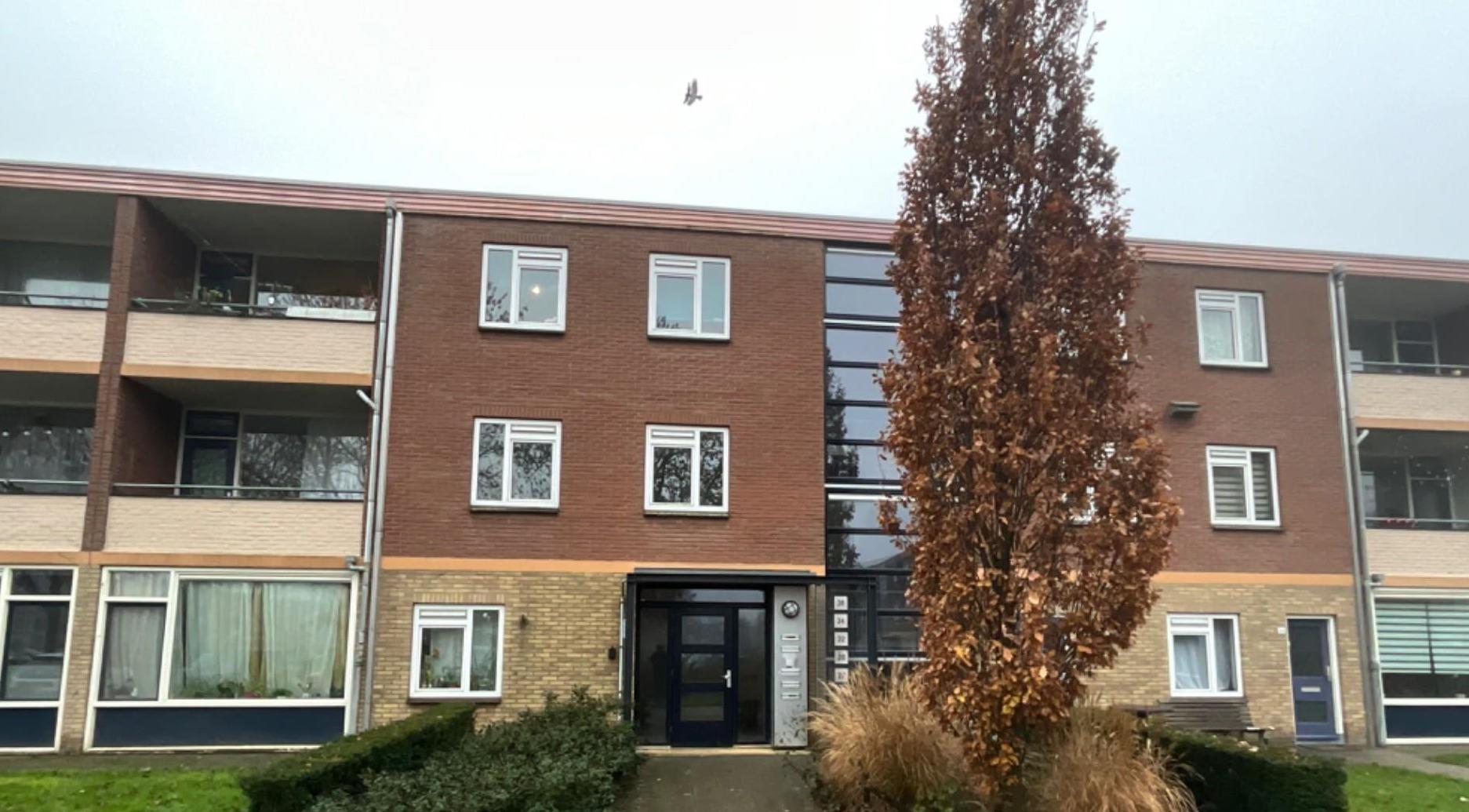 Kemphaanplein 36, 6883 EA Velp, Nederland