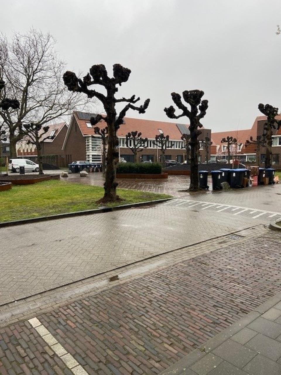Nachtegaalplein 16