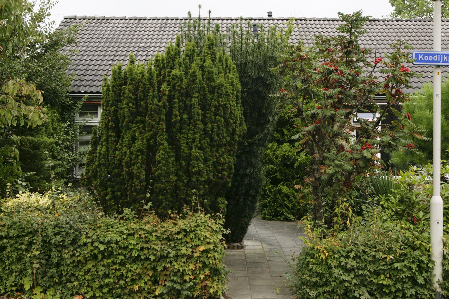 Koedijkpad 1, 6843 CD Arnhem, Nederland