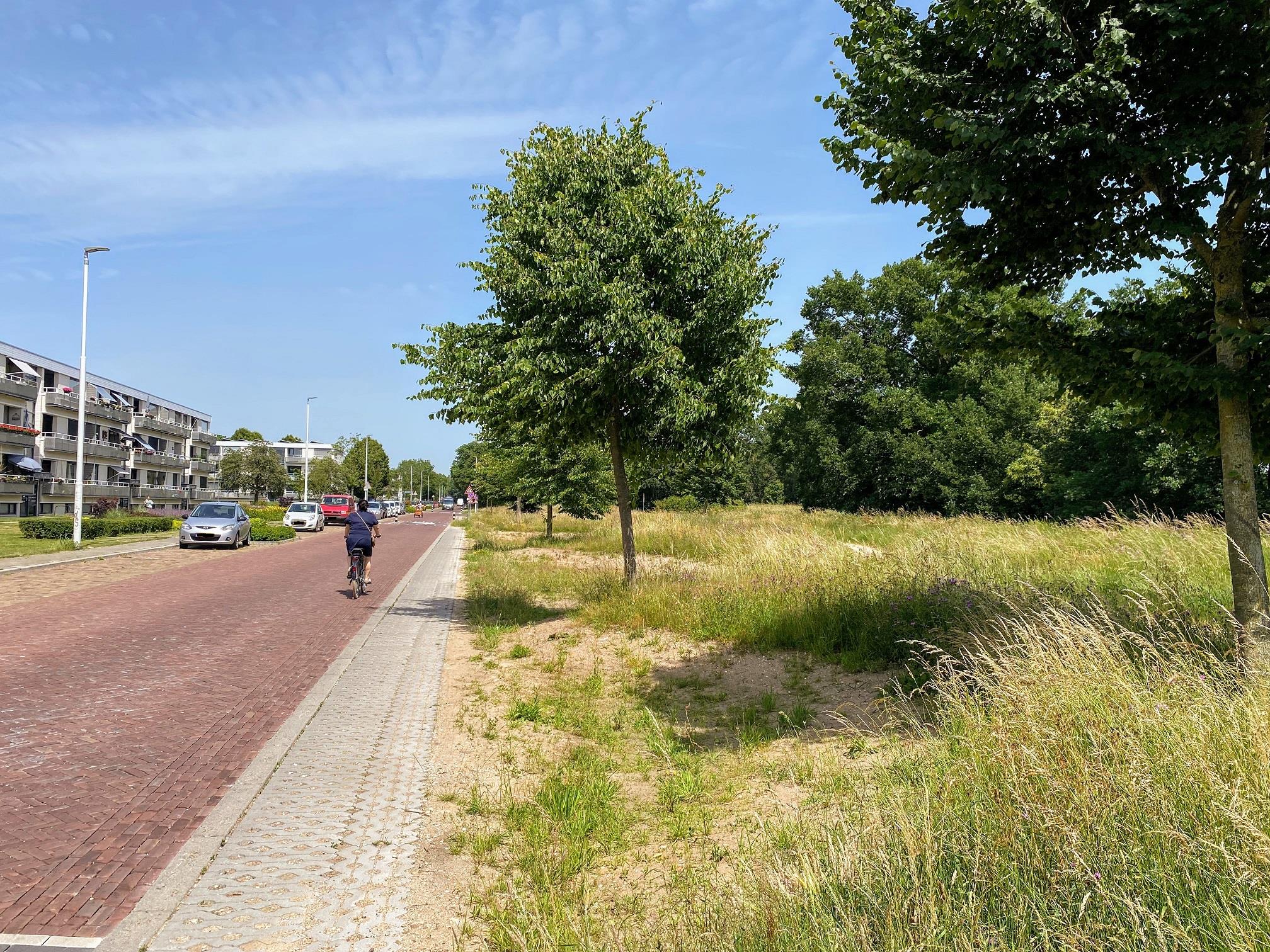 Malder-burchtstraat 282