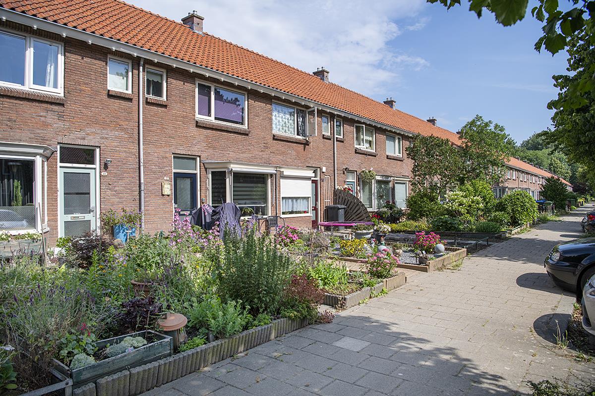 Hazelaarstraat 54