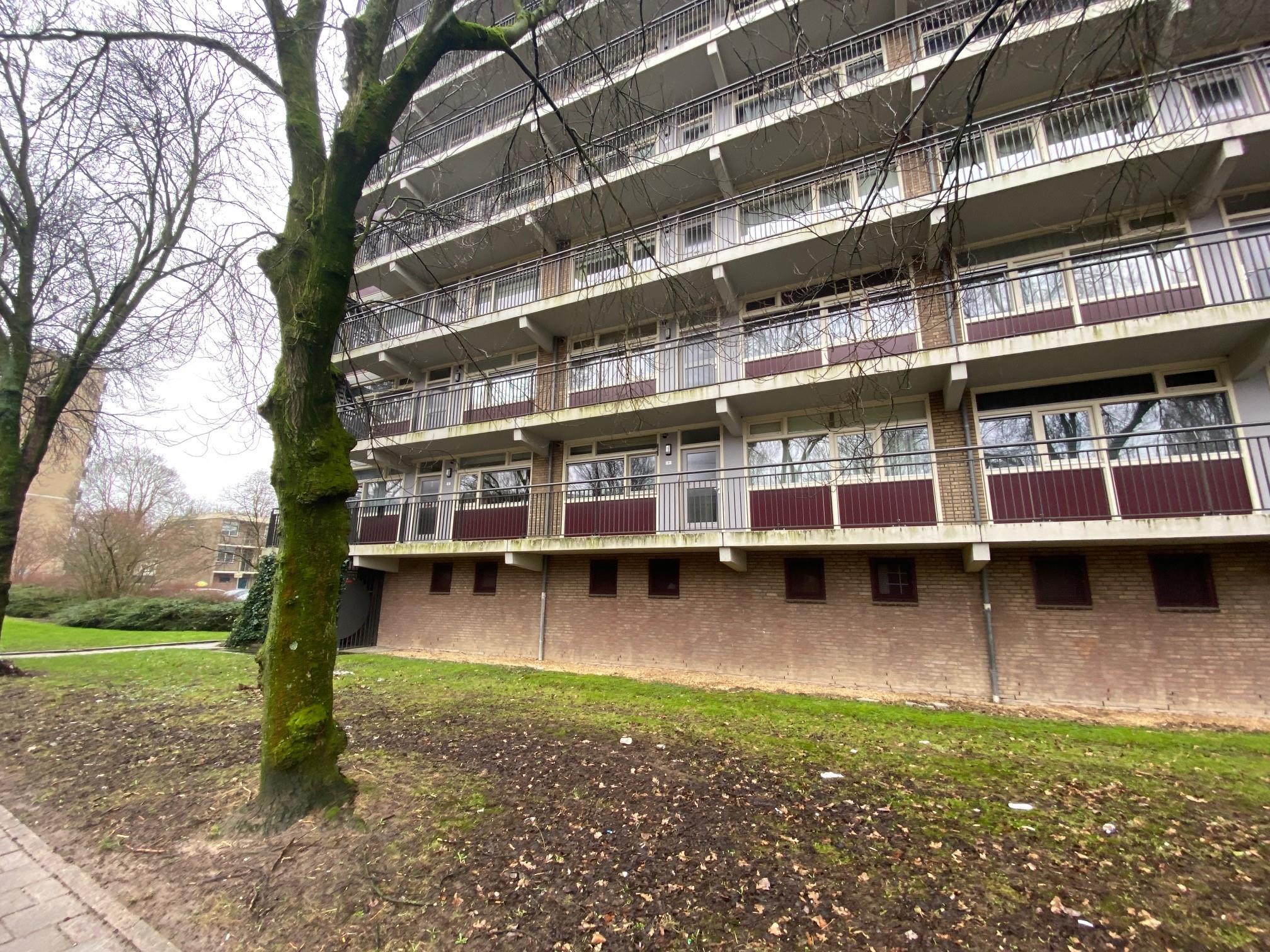 Bethaniënstraat 142