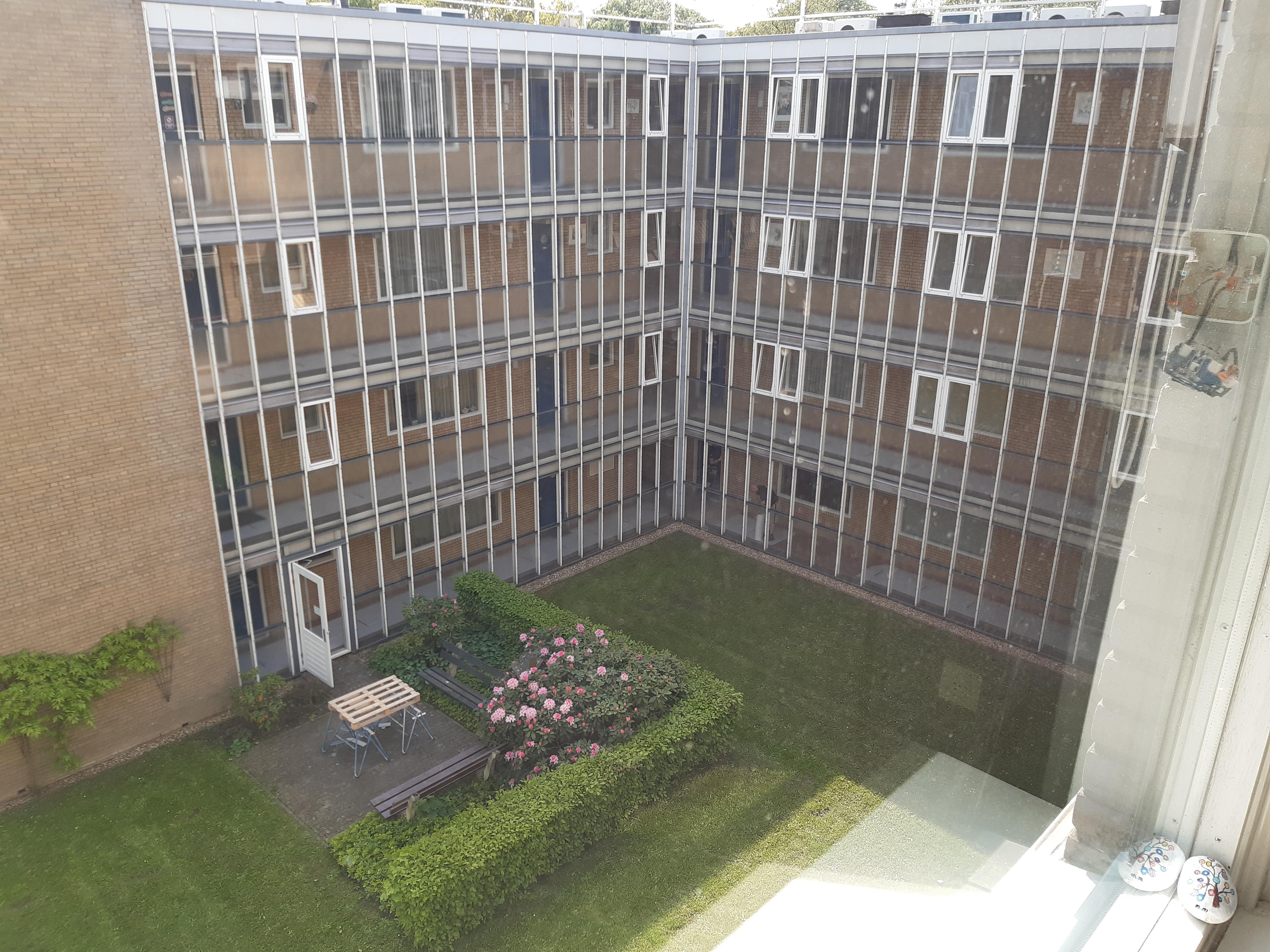 Van Het Hoffplantsoen 111