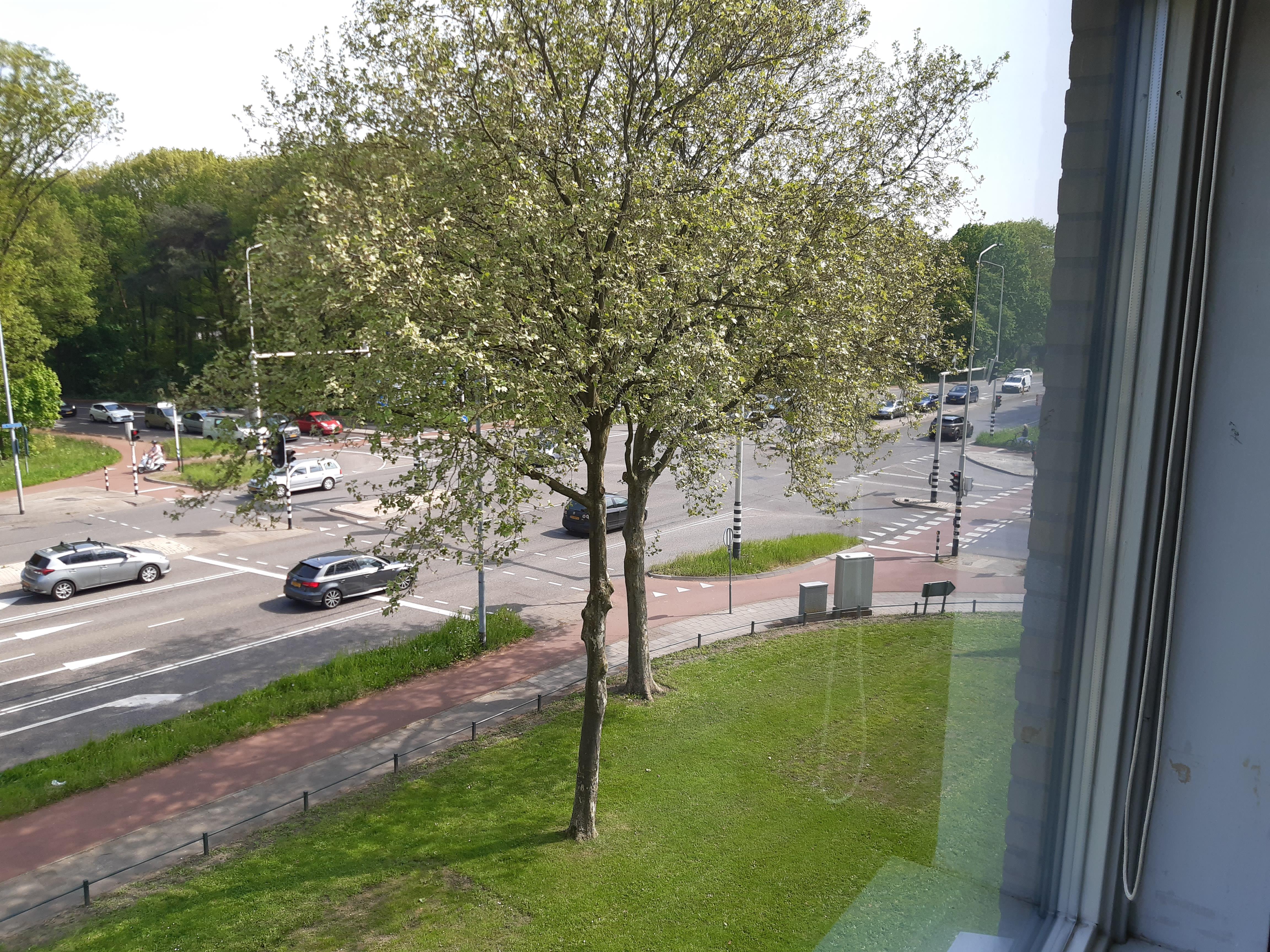 Van Het Hoffplantsoen 111