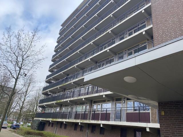 Doeffstraat 198, 6826 HW Arnhem, Nederland