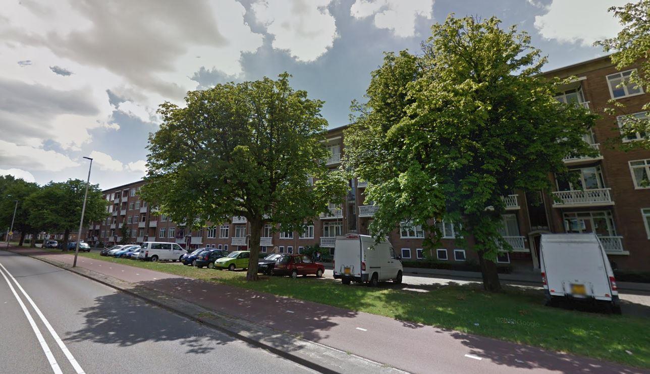 Johan de Wittlaan 266-2