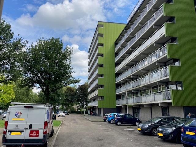 Zwanenveld 7034