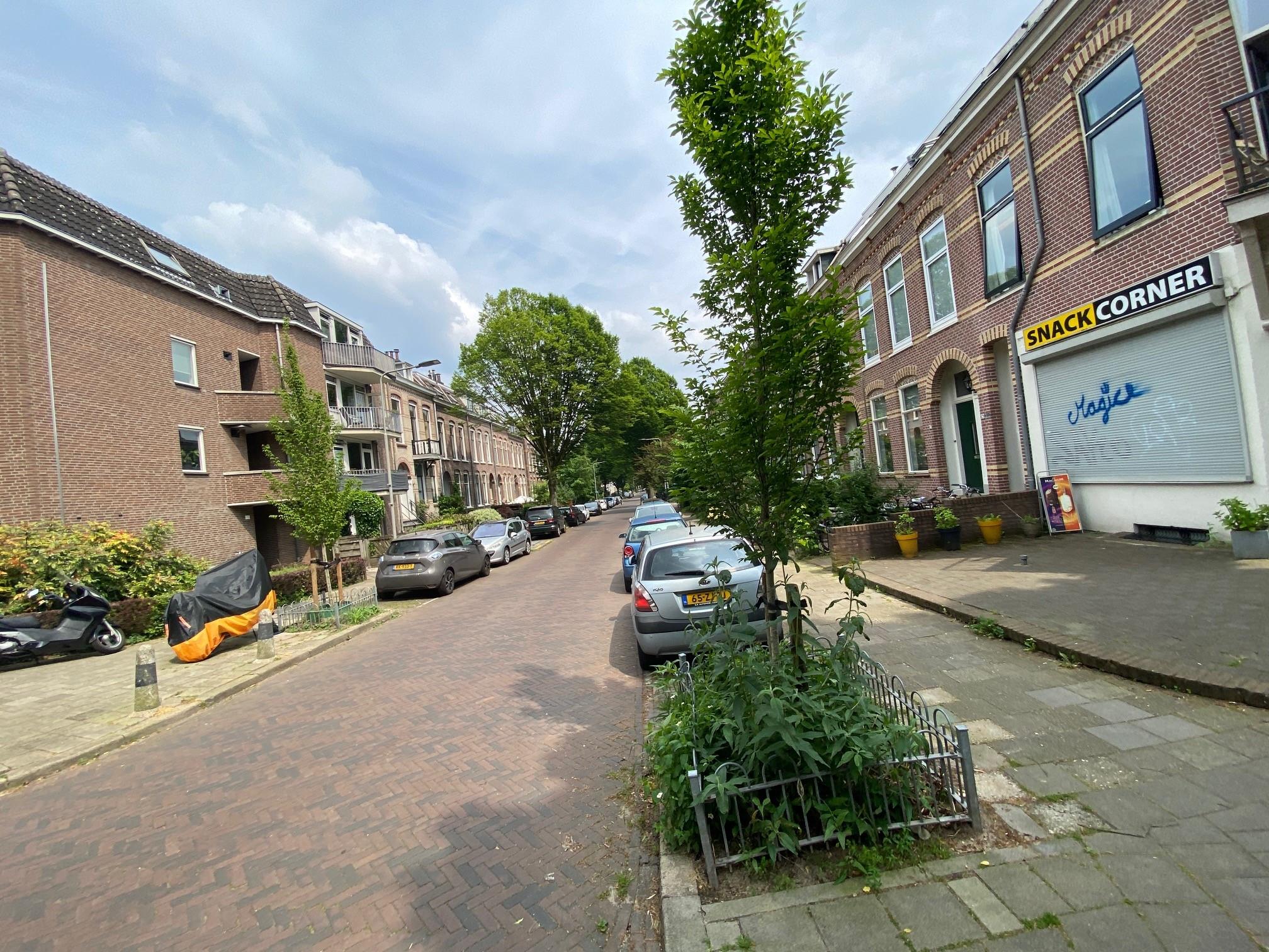 Sint Antonielaan 208, 6821 GL Arnhem, Nederland