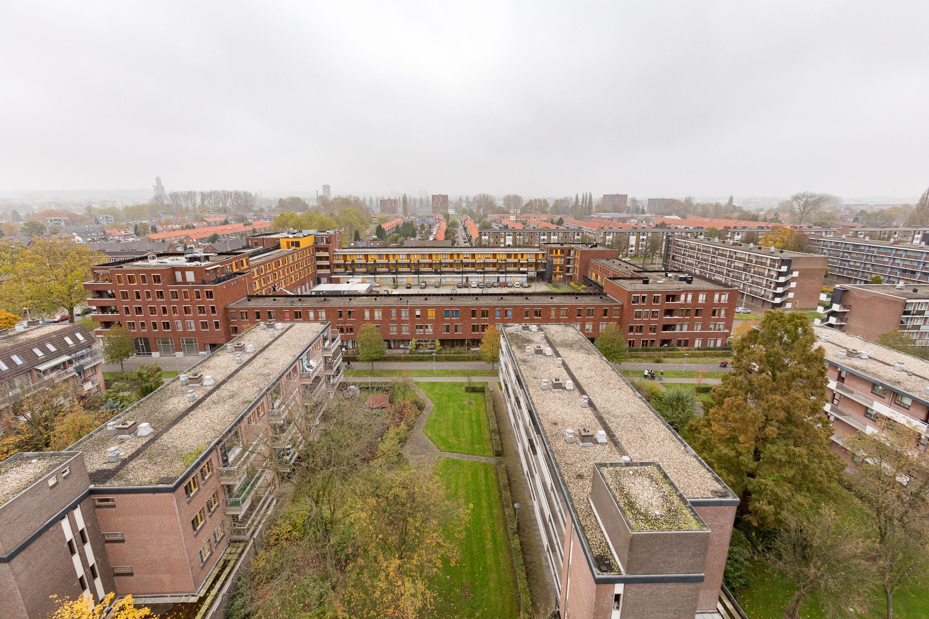 Hortensiastraat 49